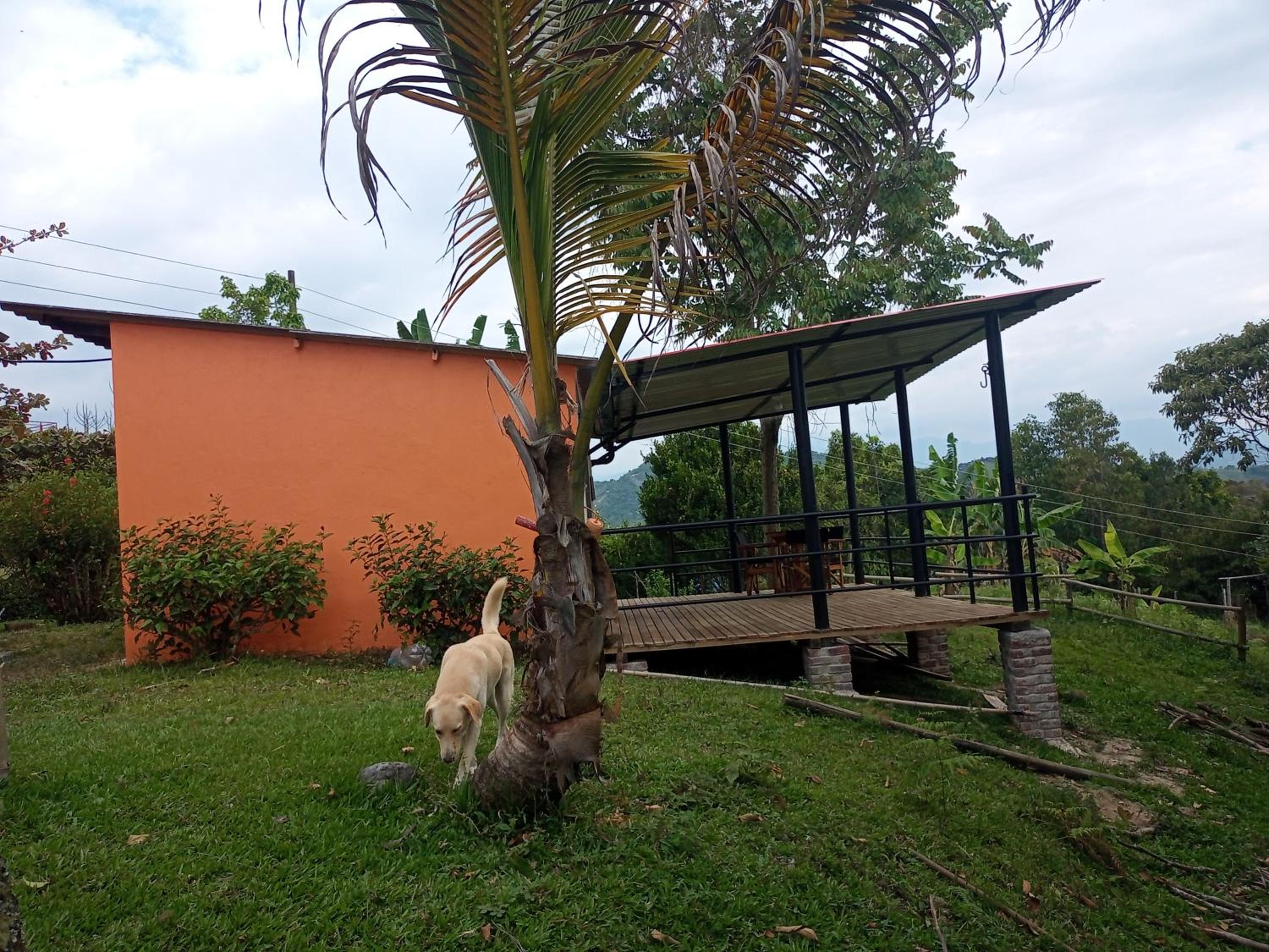 Eco-Cabanas Altozano Nimaima - Property Image 136