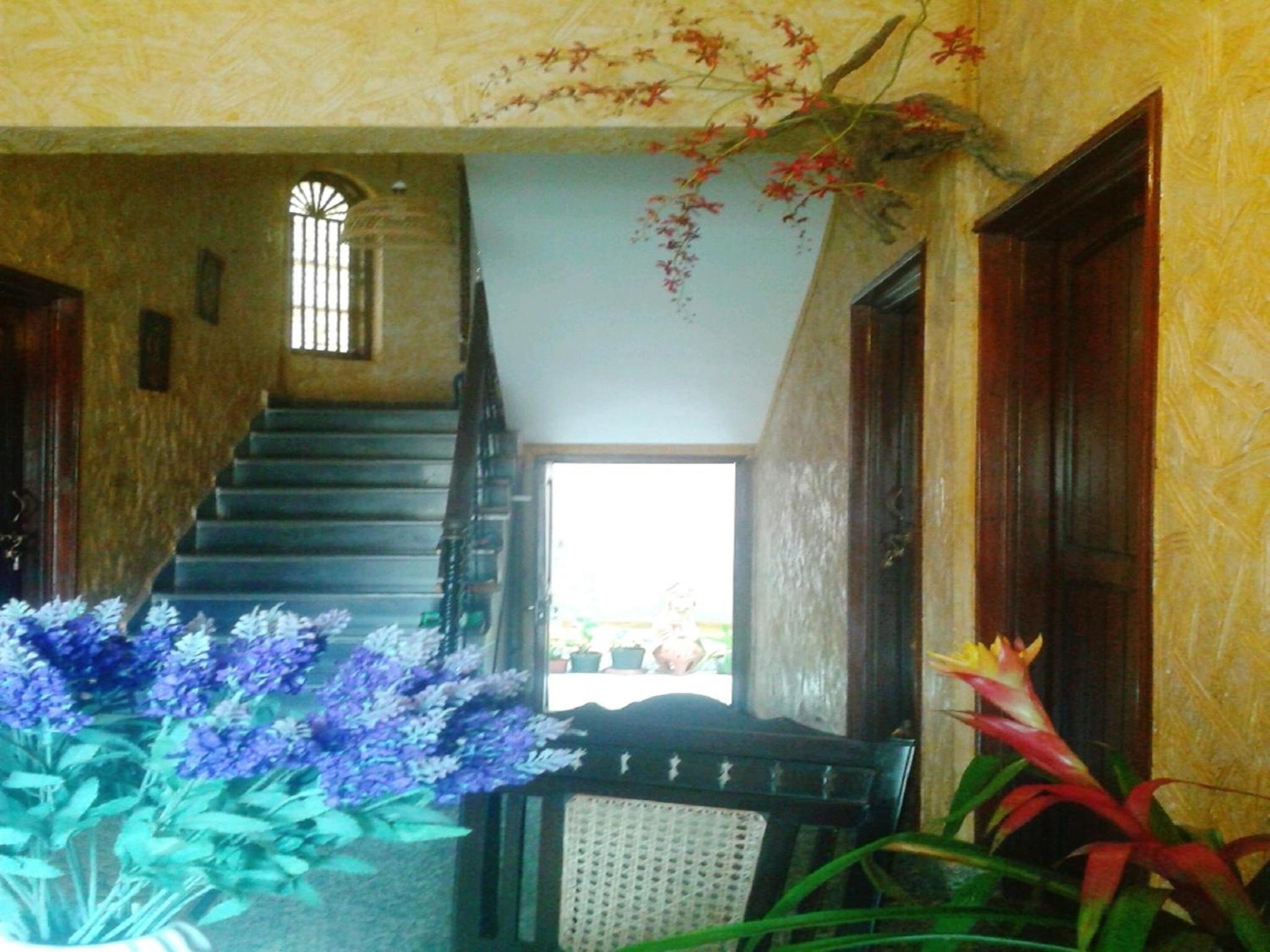 Afonso Guest House - Fontainhas view 4