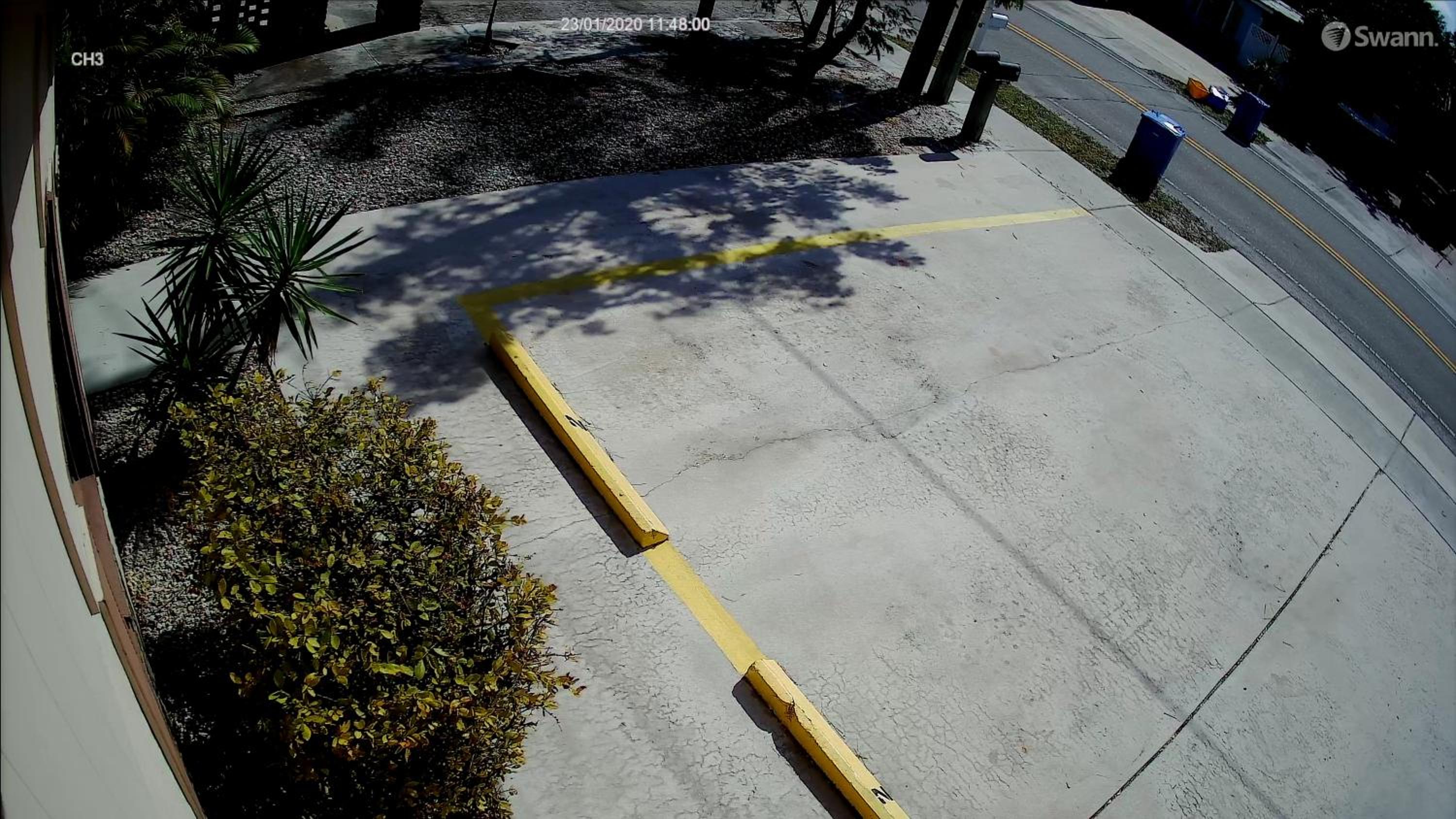 Photo 44