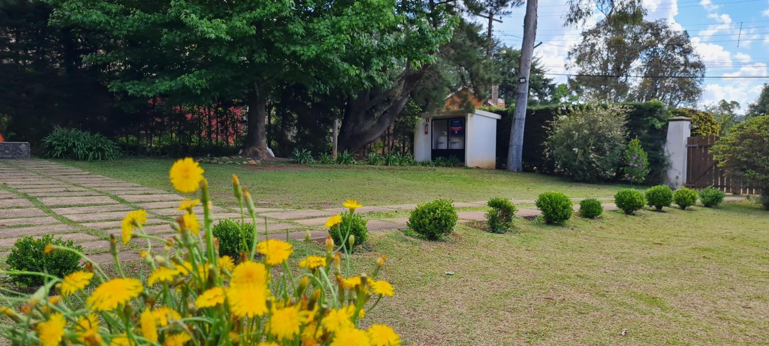 Arado 313 Suites