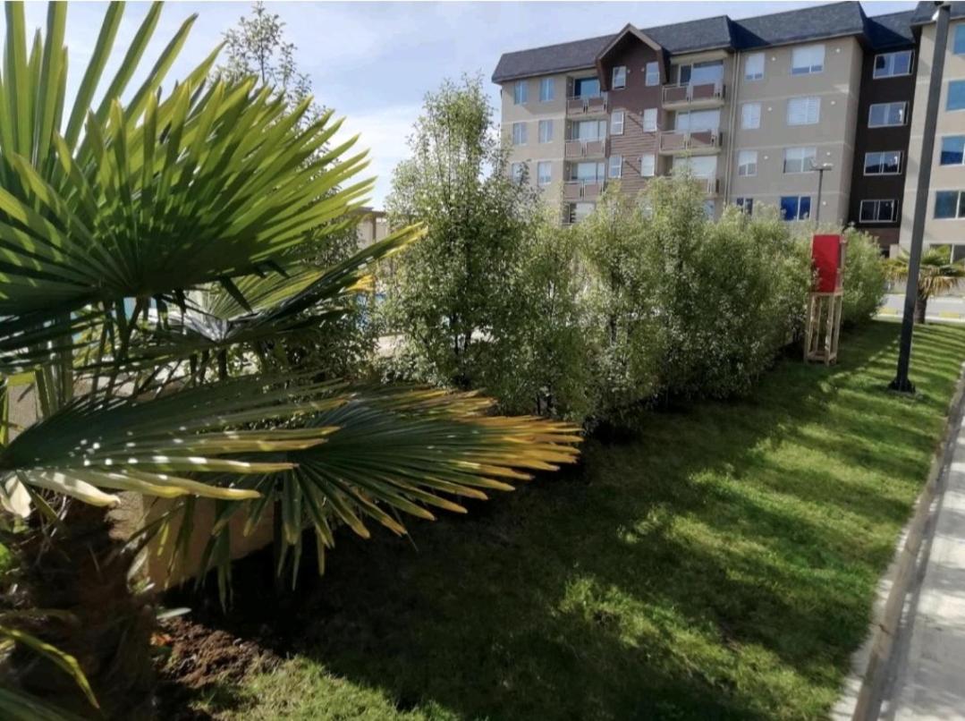 Departamento -Condominio Parque al Volcan en Villarrica