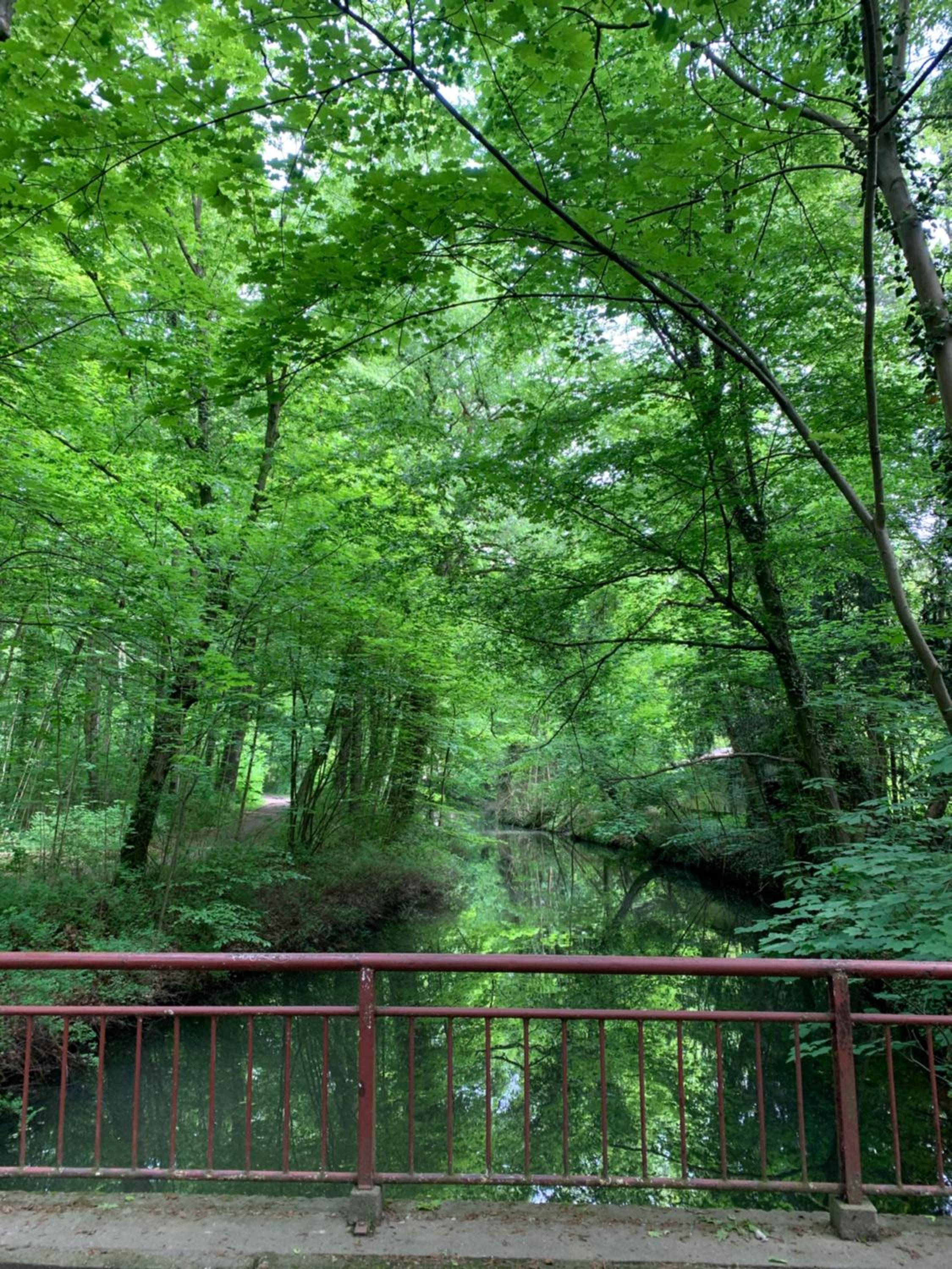 Spreewälder Ferienhäuser am Berste - Ufer