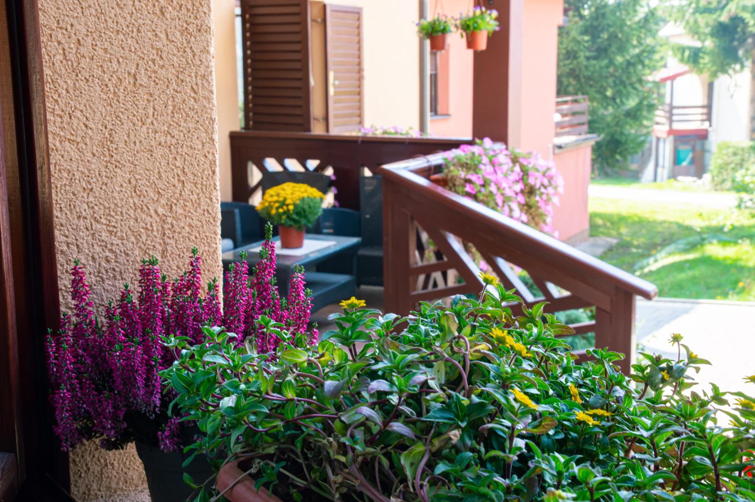 Vila Marija Zlatibor