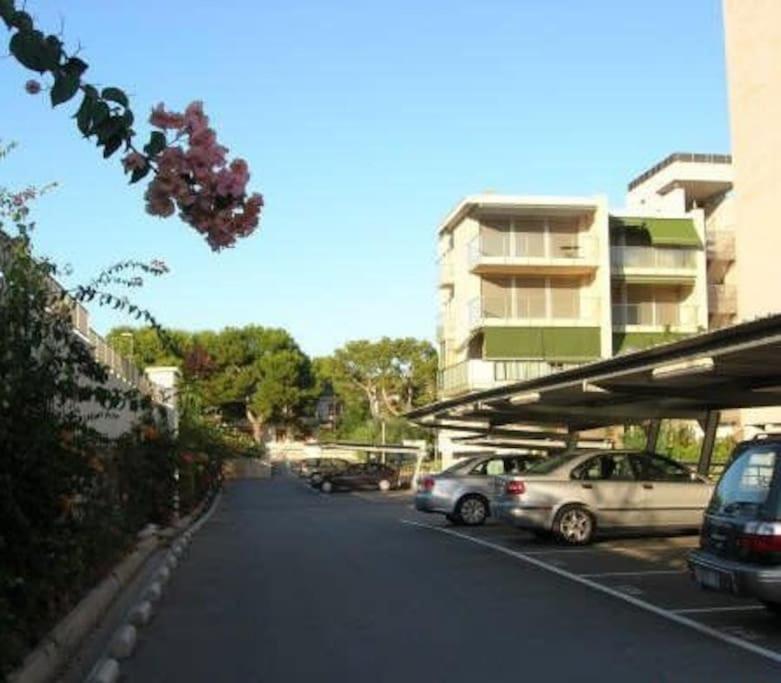 Photo 14