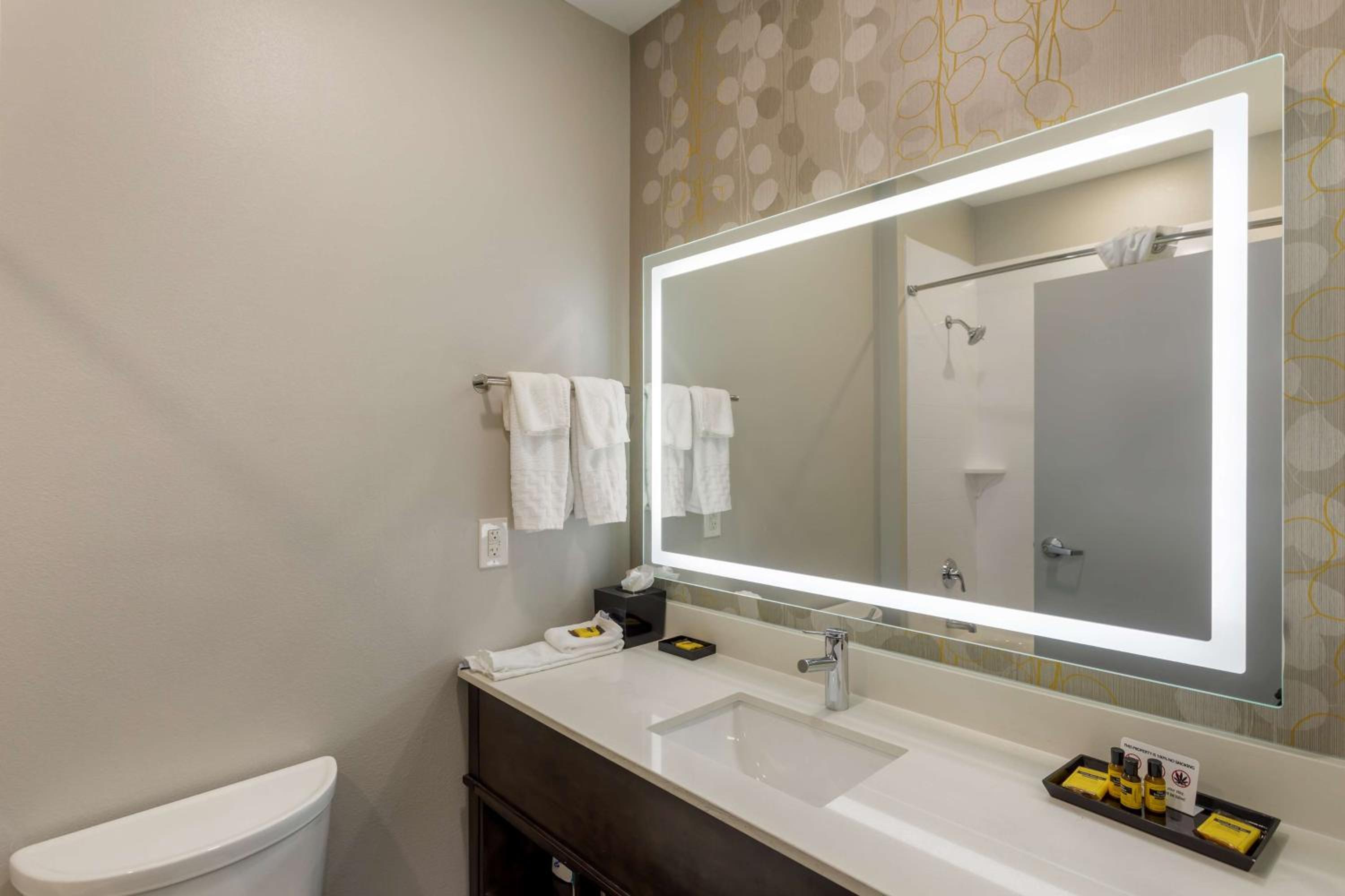 Best Western Plus Executive Residency Antioch Inn - Property Image 10