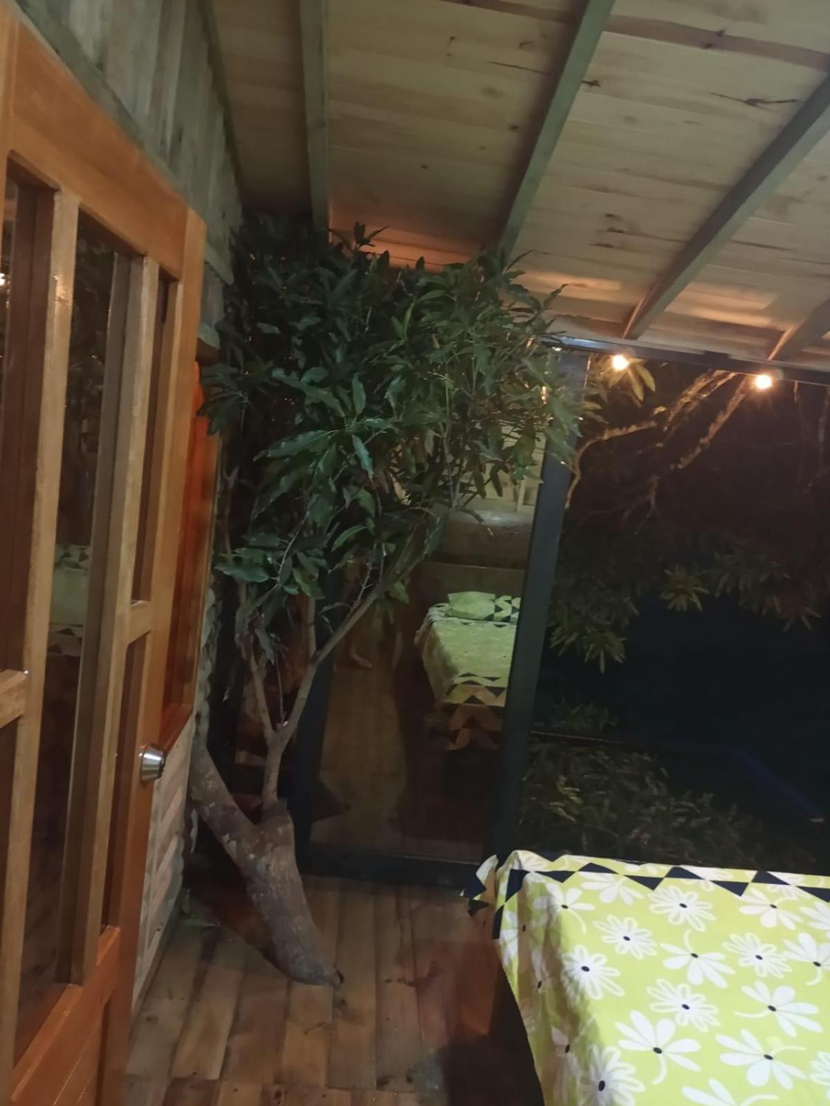 la casita del arbol guaduas cundi.