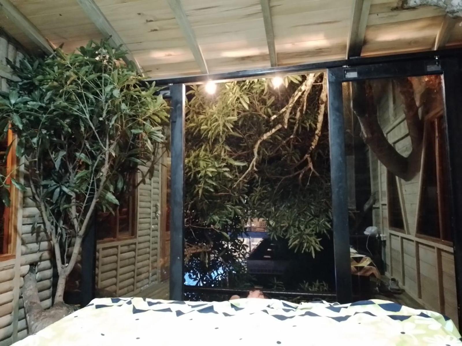 la casita del arbol guaduas cundi.