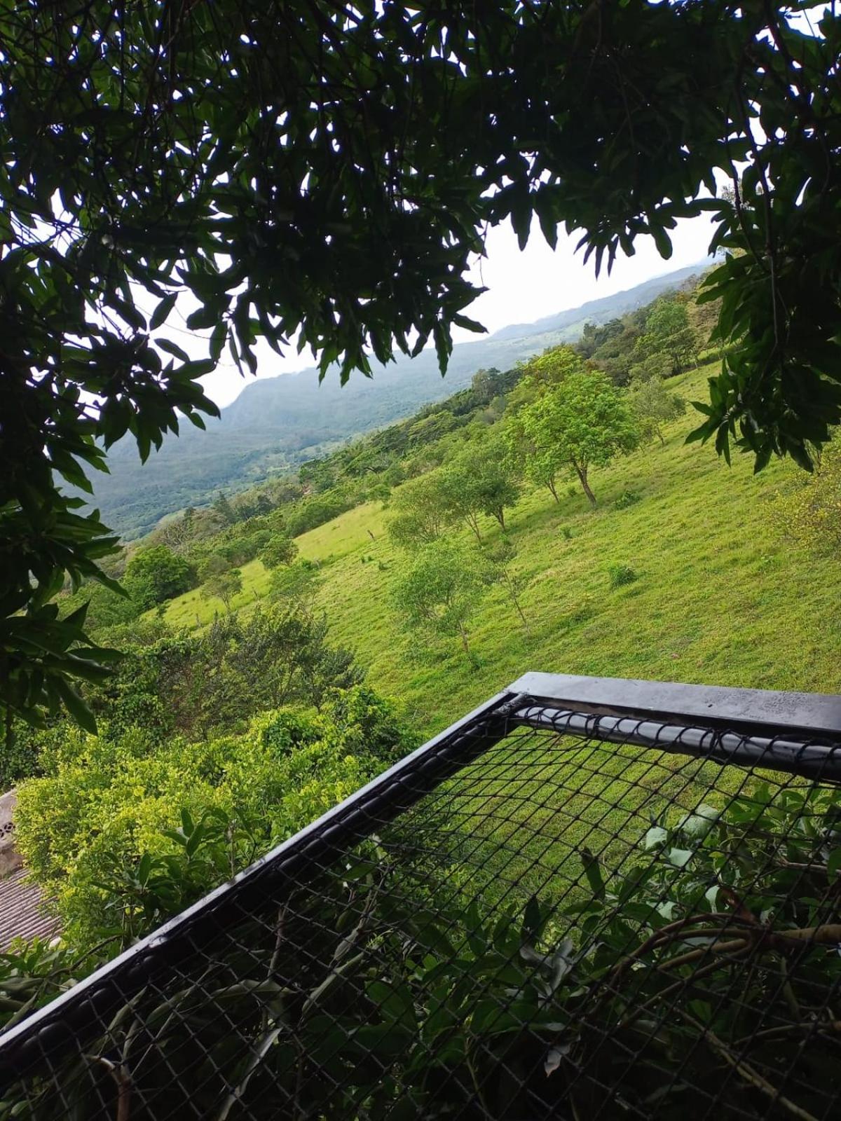 la casita del arbol guaduas cundi.