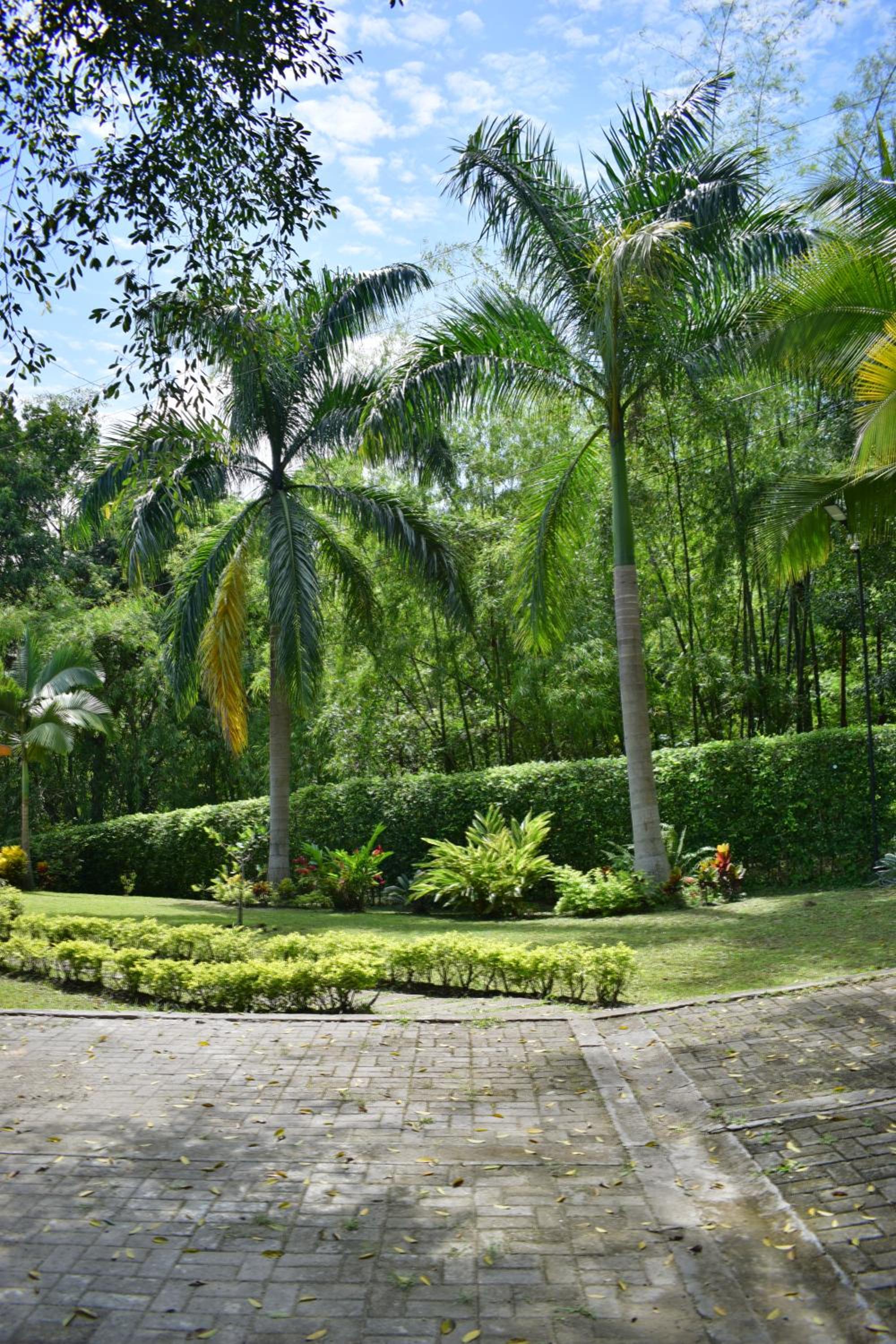 Finca Milandia