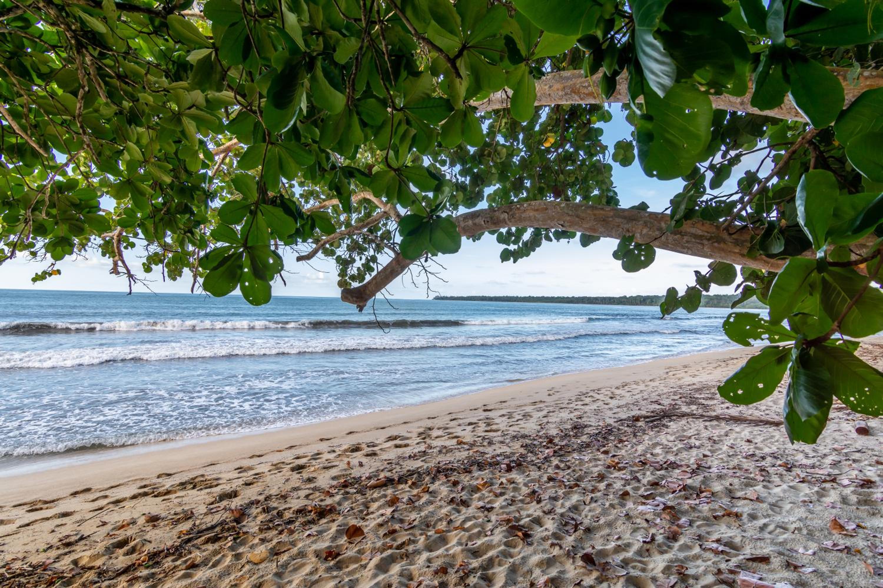 Container House Cahuita