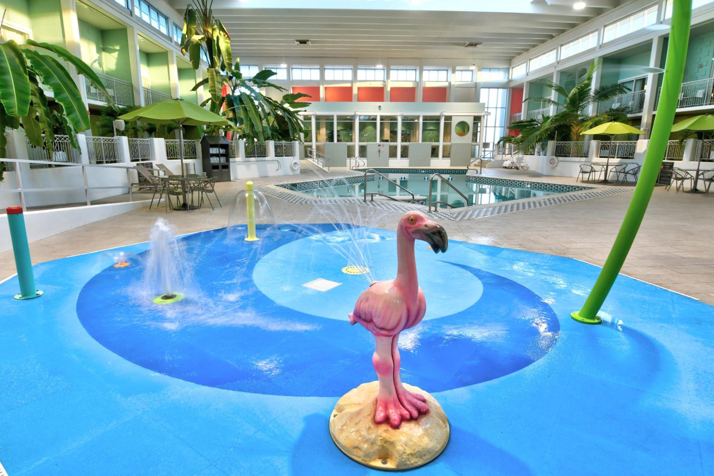 Oasis Hotel and Conv Center, an Ascend Collection Hotel