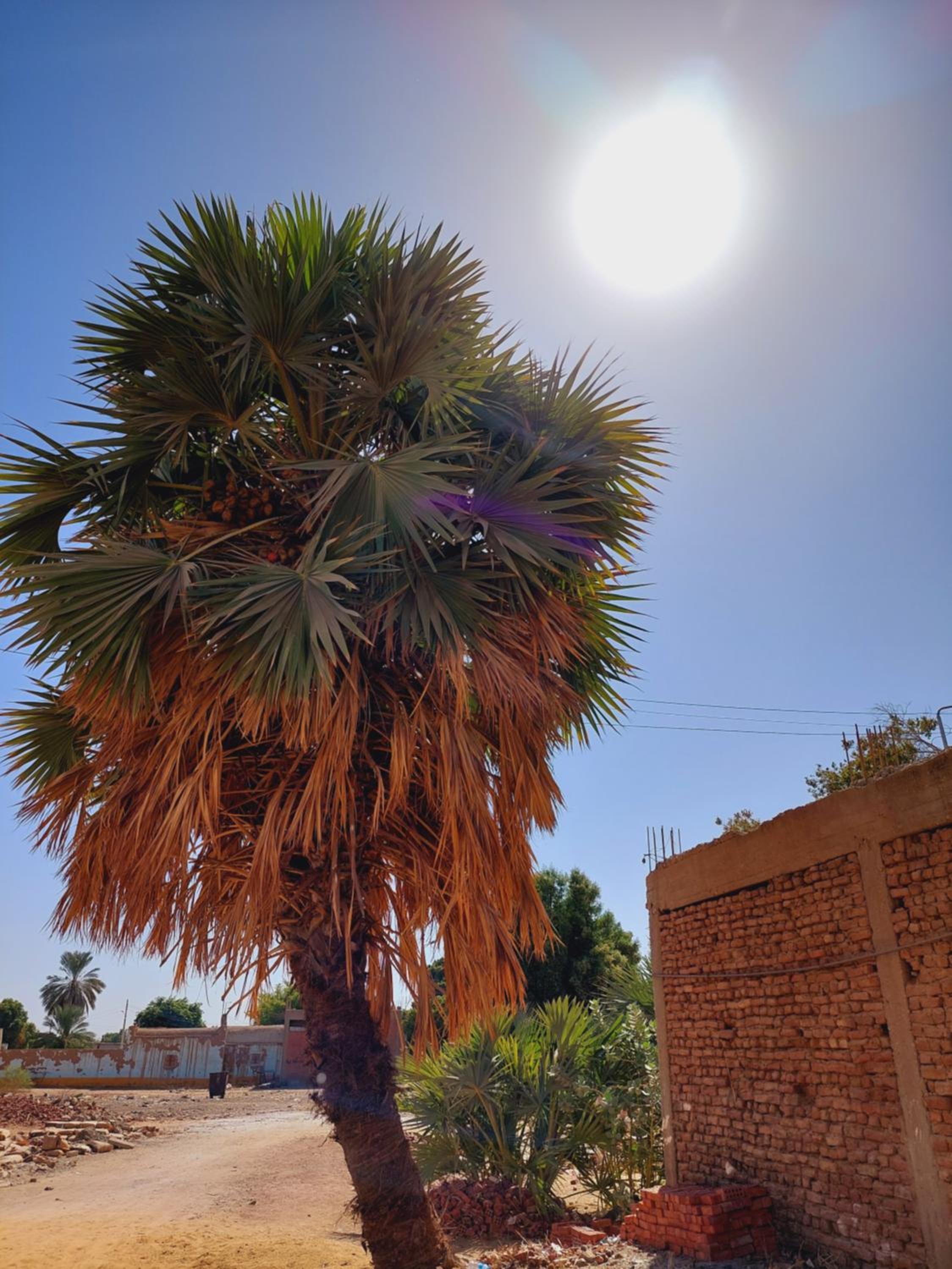 Mostafa Nubian Guesthouse