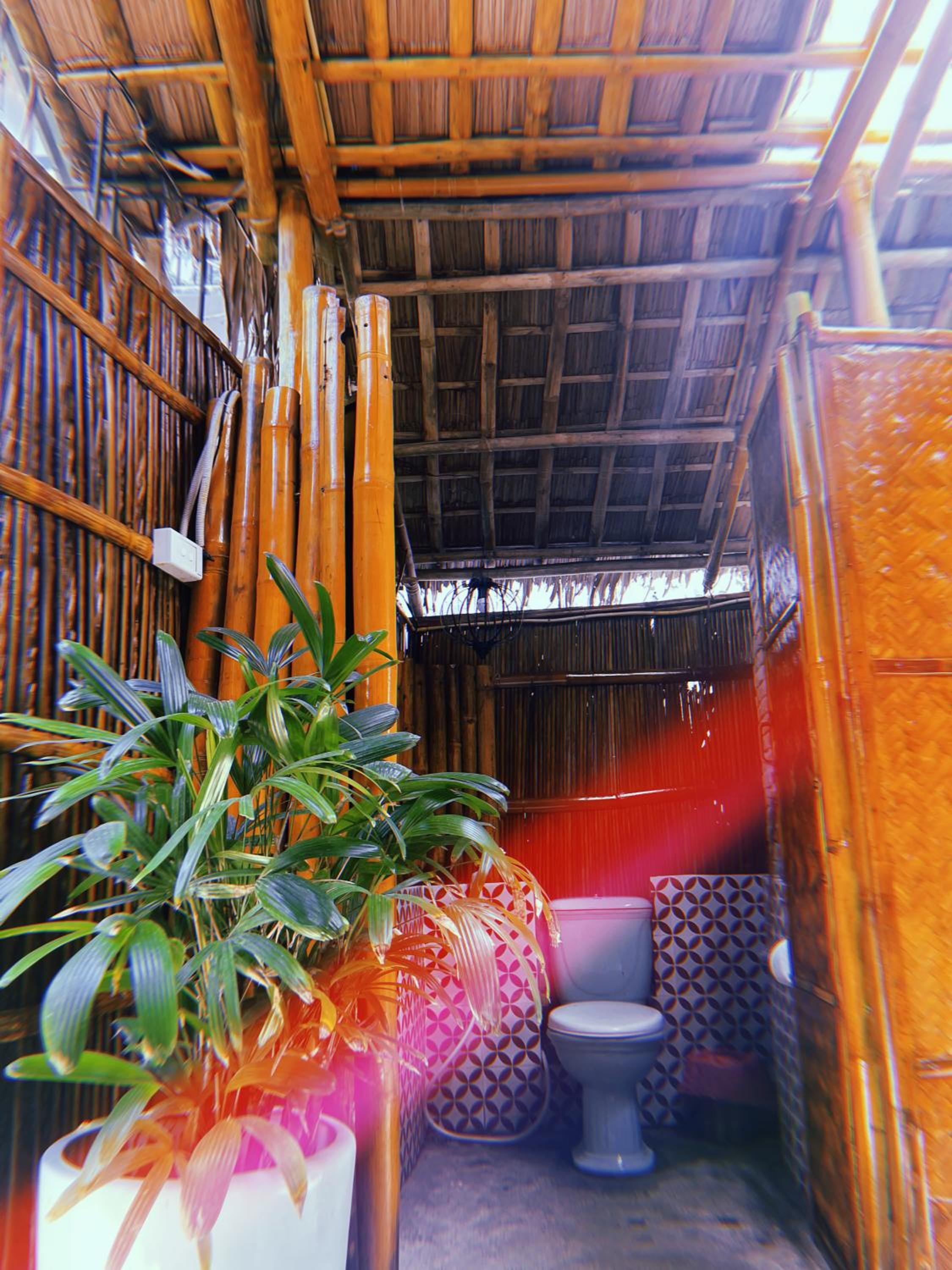 Under The Coconut Tree Hoi An