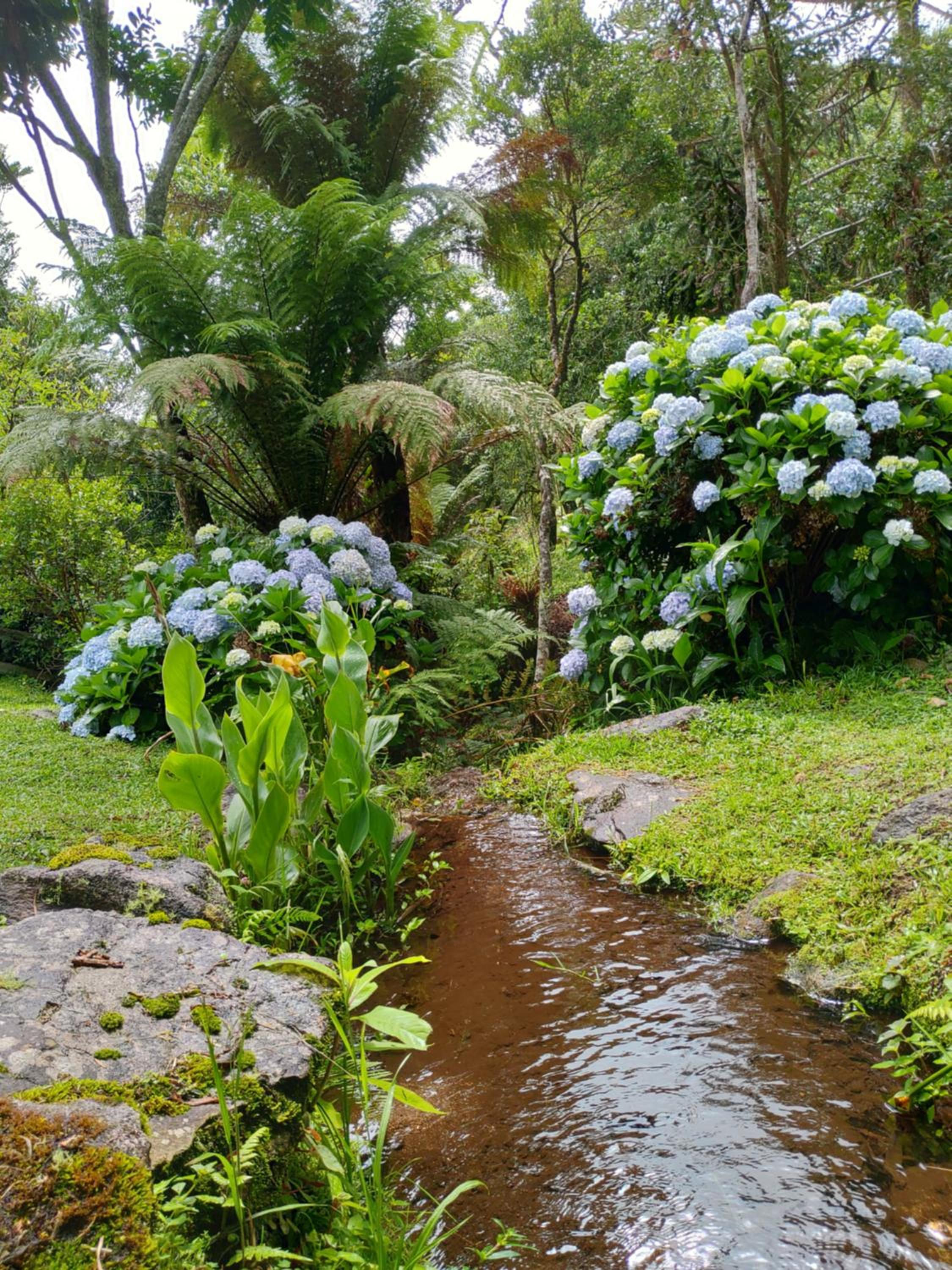 Casa Aconchegante Na Mantiqueira
