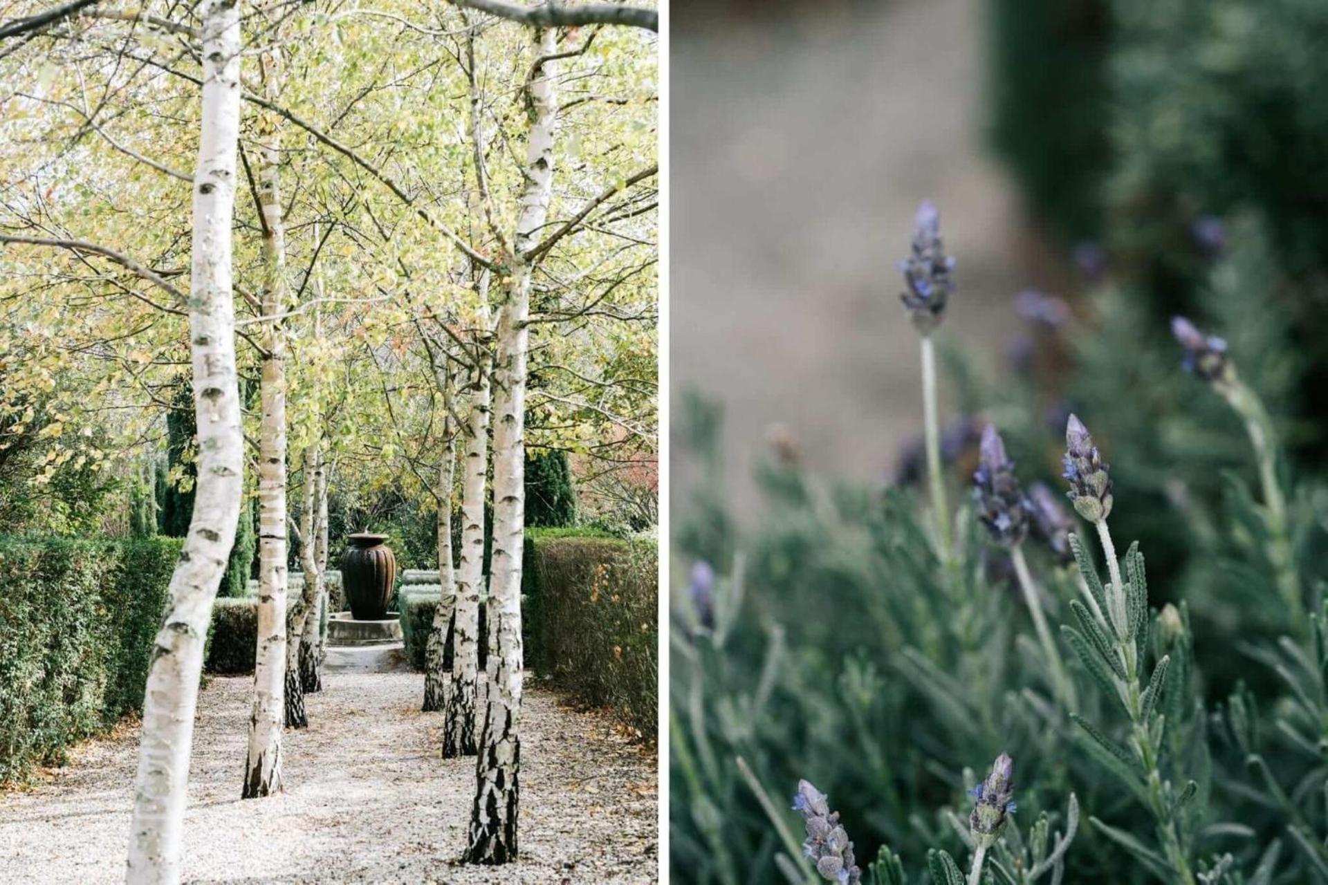 The Garden House Daylesford