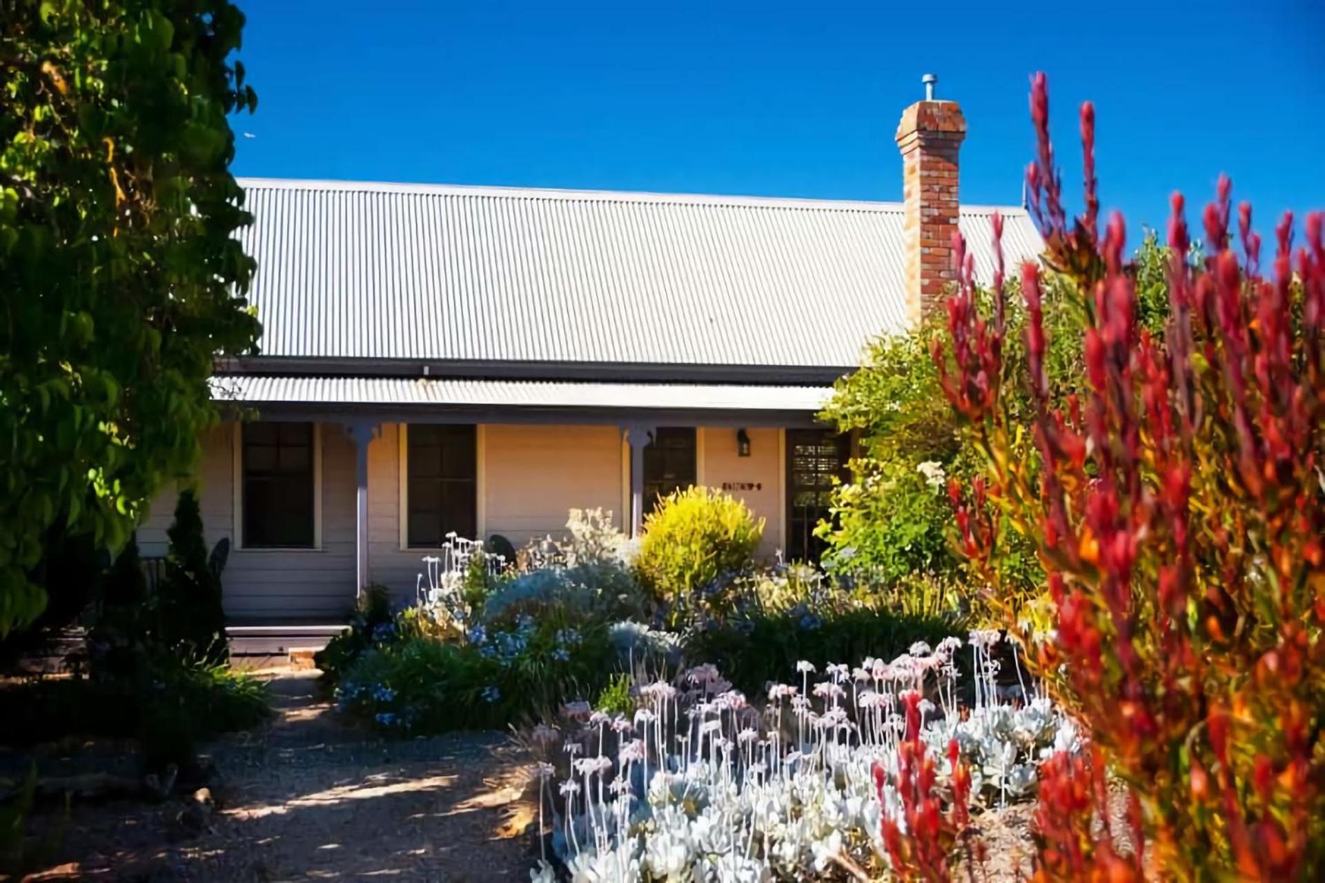 Circa Ivy Prince Daylesford