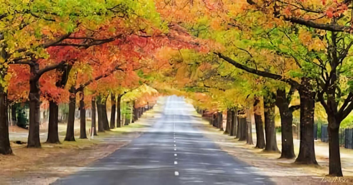 The Raglan Daylesford