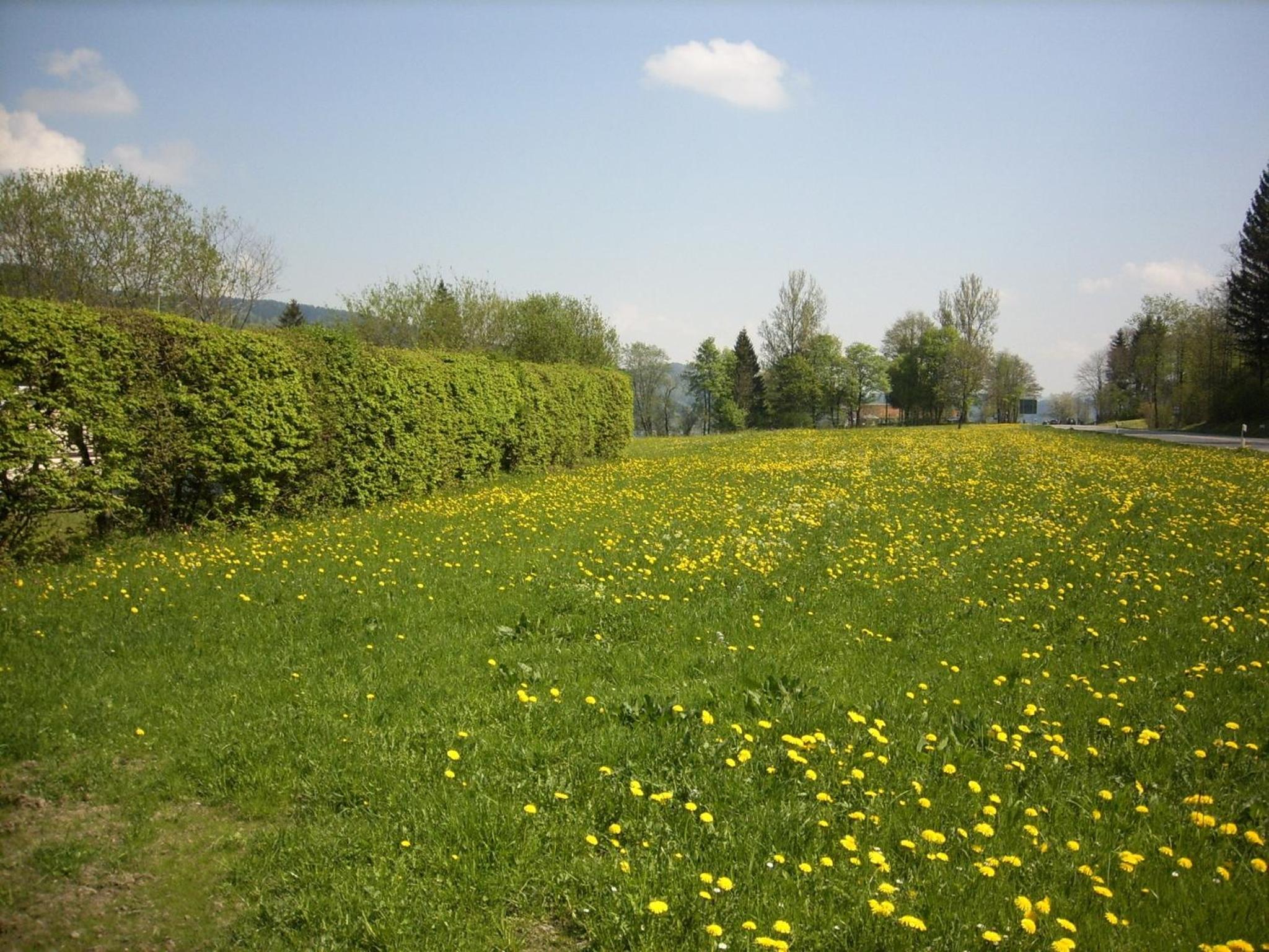 Landgasthof Jägerhaus