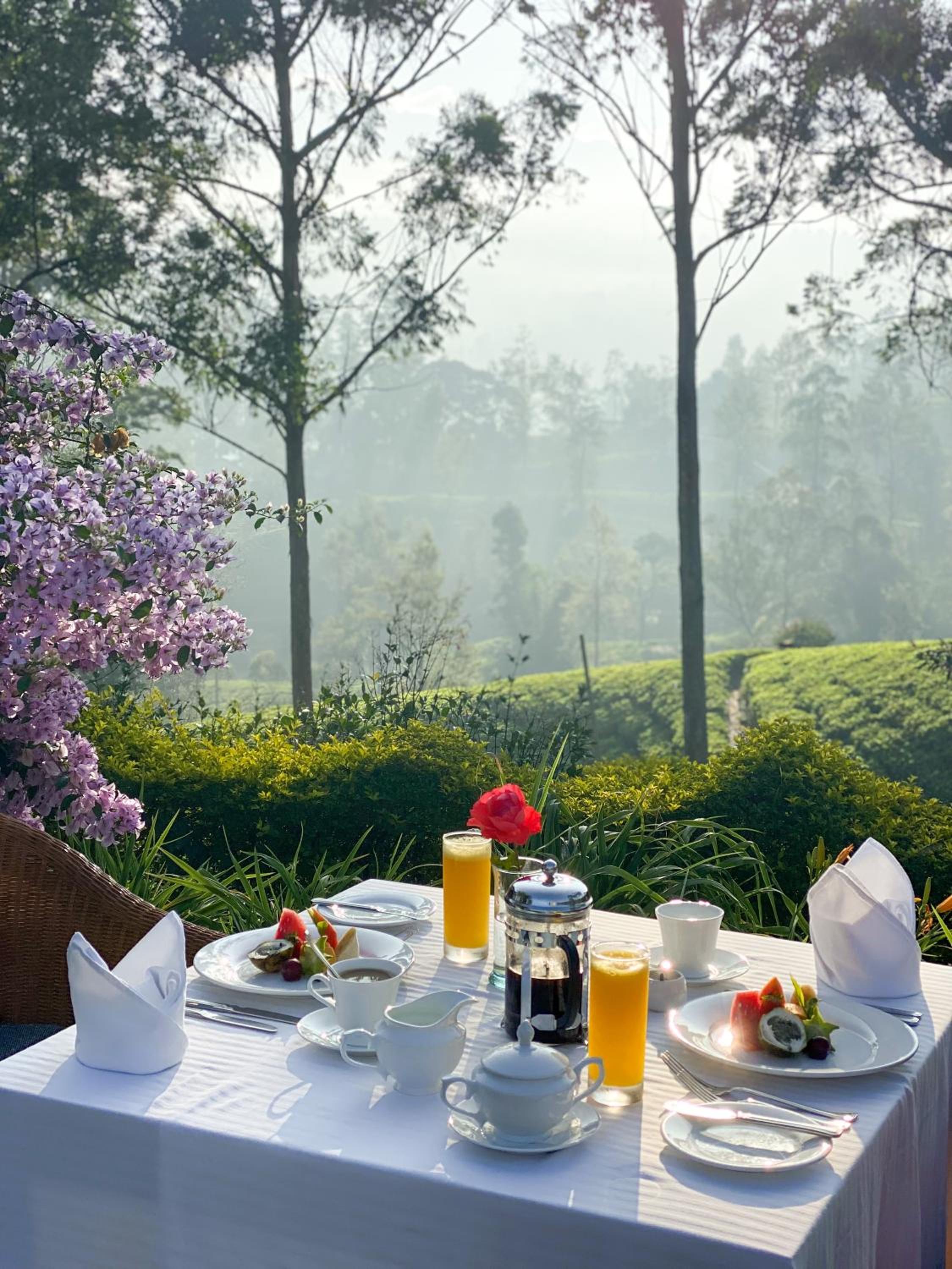 Ceylon Tea Trails - Relais and Chateaux - All Inclusive