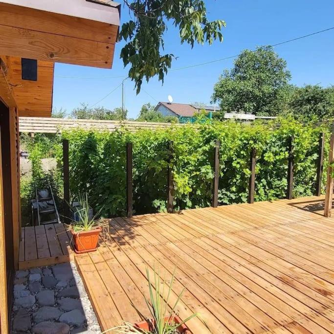 Tiny House Nada Vineyard view 5