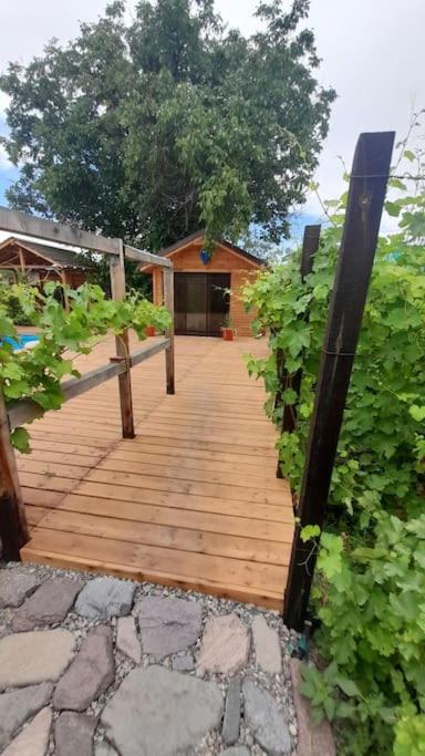 Tiny House Nada Vineyard view 4