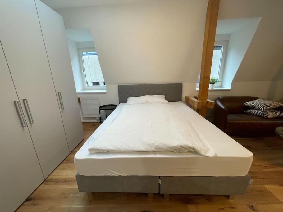 Tolles Studio im Zentrum von Rapperswil view 2