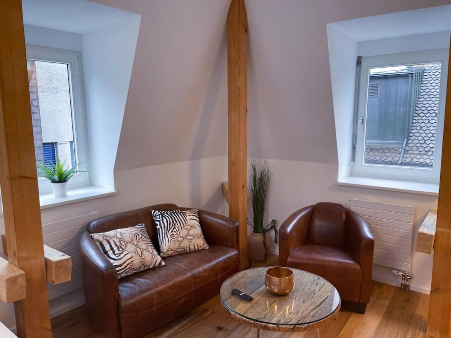 Tolles Studio im Zentrum von Rapperswil view 3