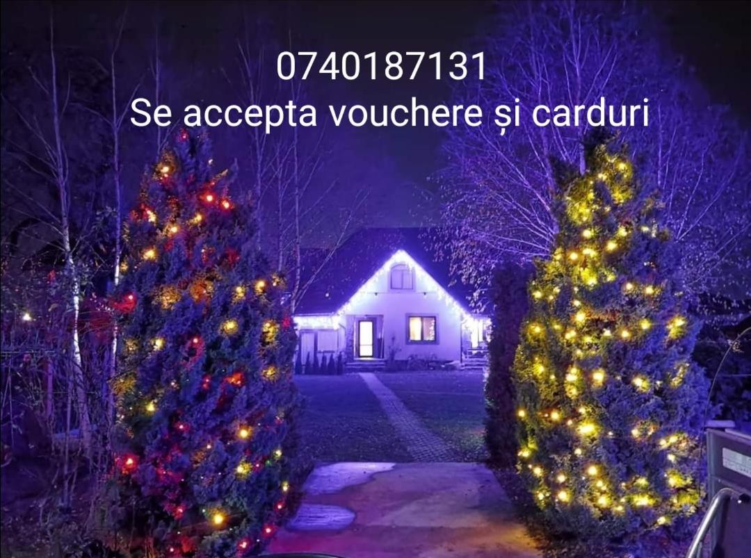 Conacul Caterinei view 3