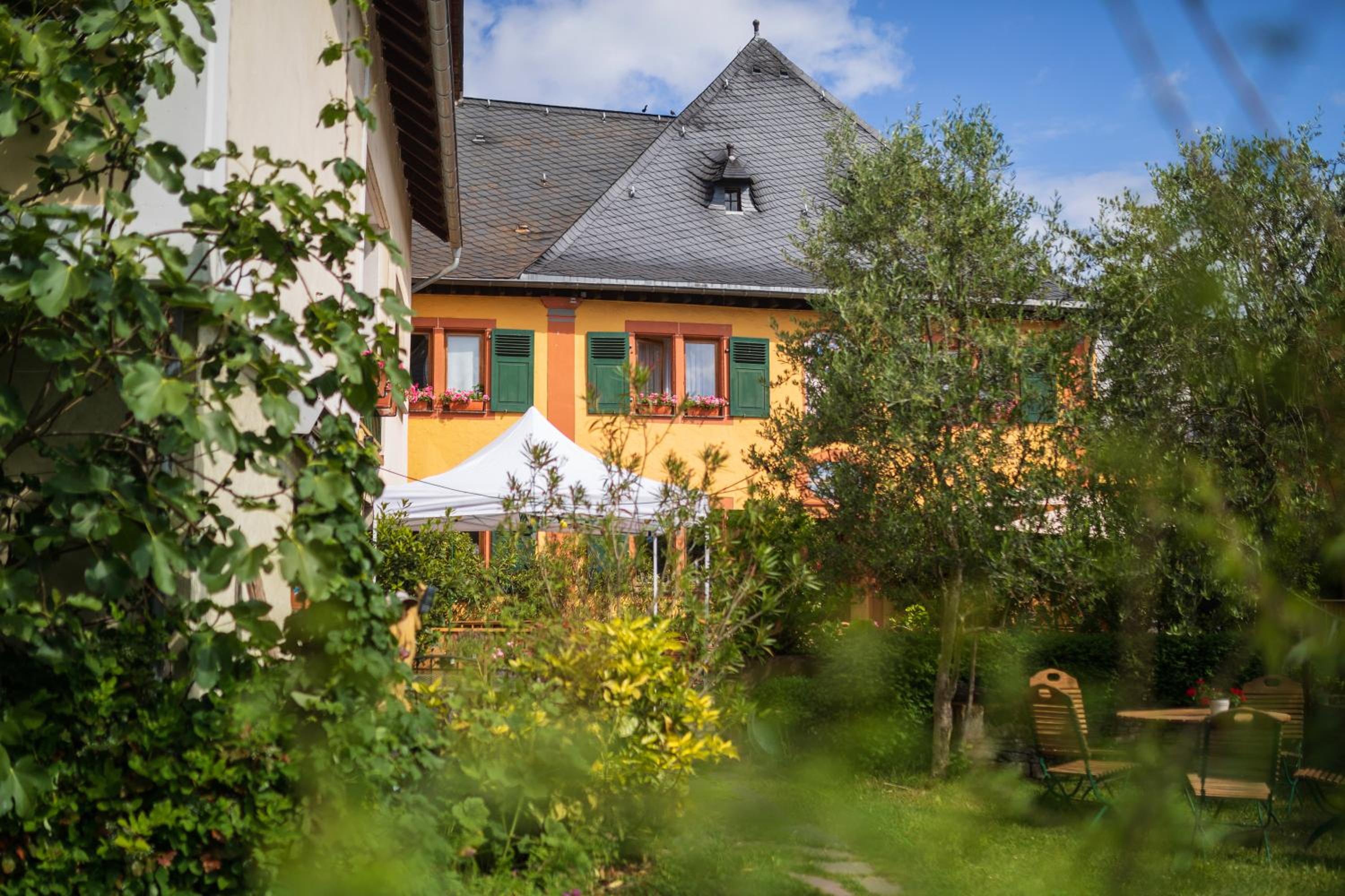 Bio-Weingut Staffelter Hof