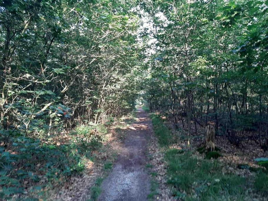 Photo 40