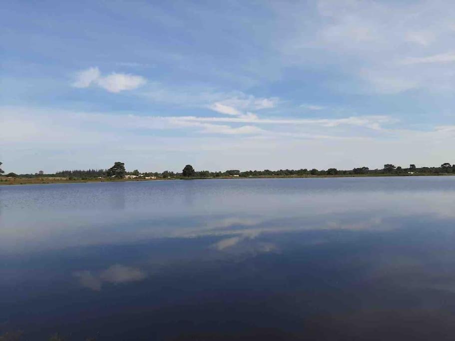 Photo 45