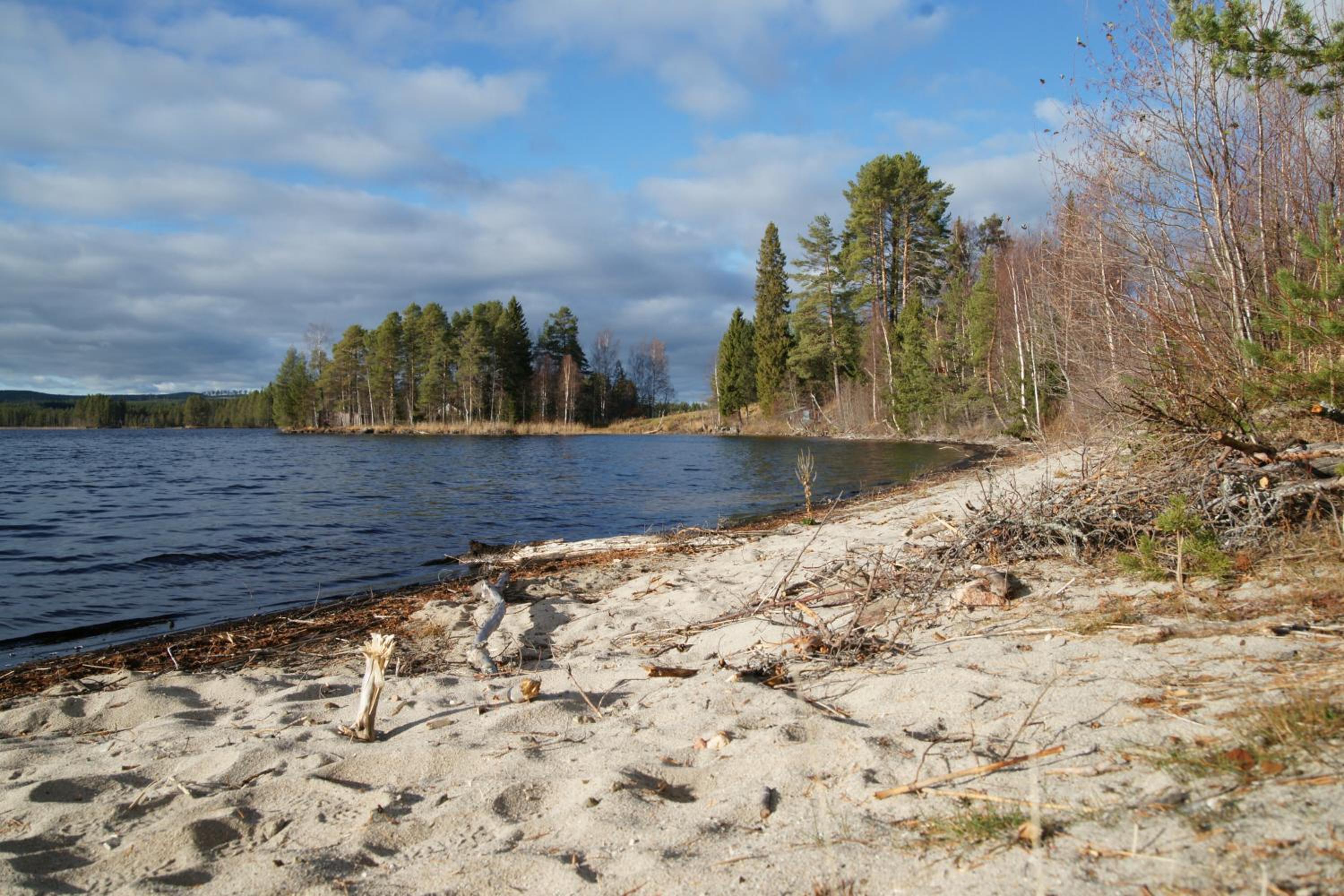 Photo 19