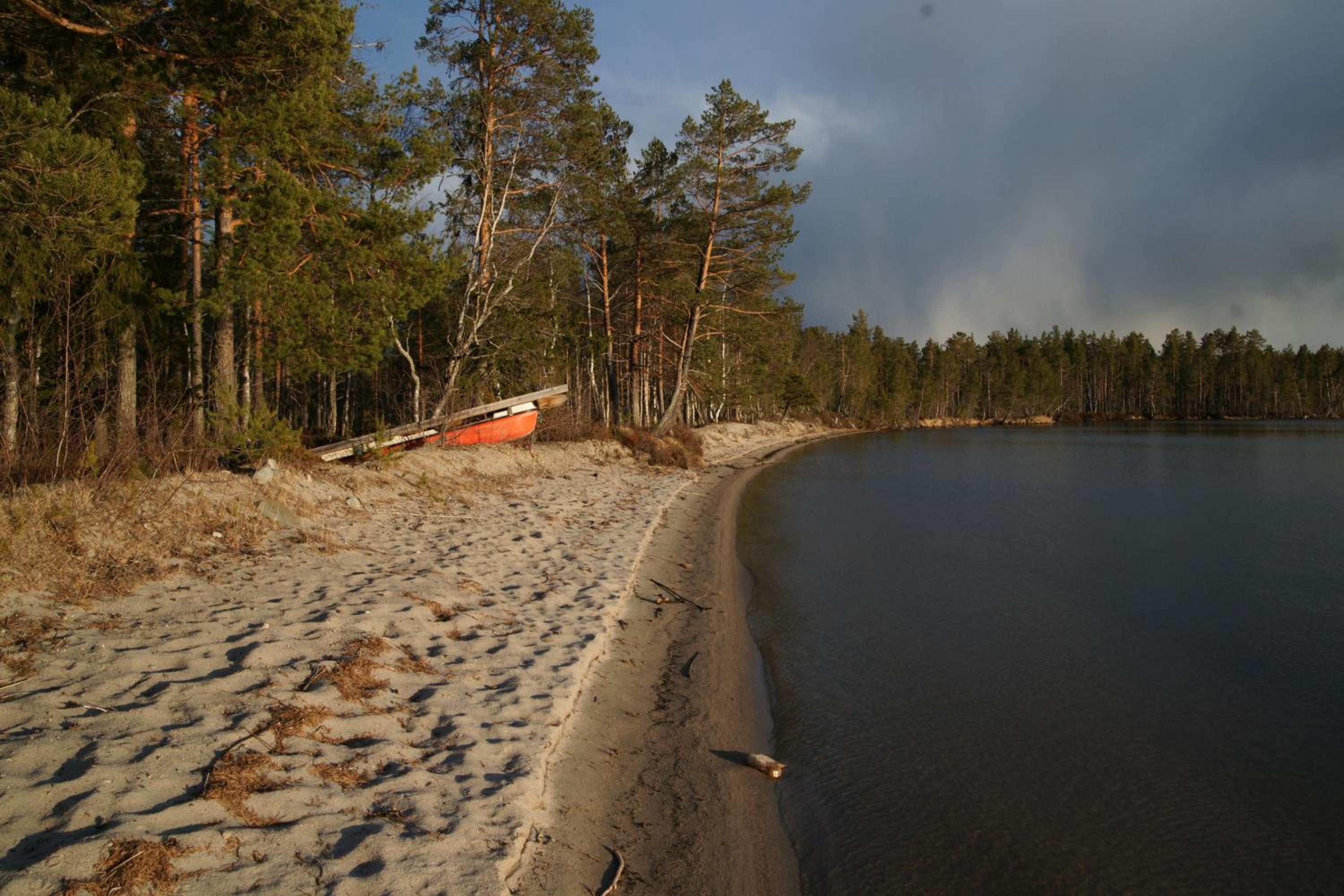 Apartment in the middle of nature with 350m of sandy beach private access view 2