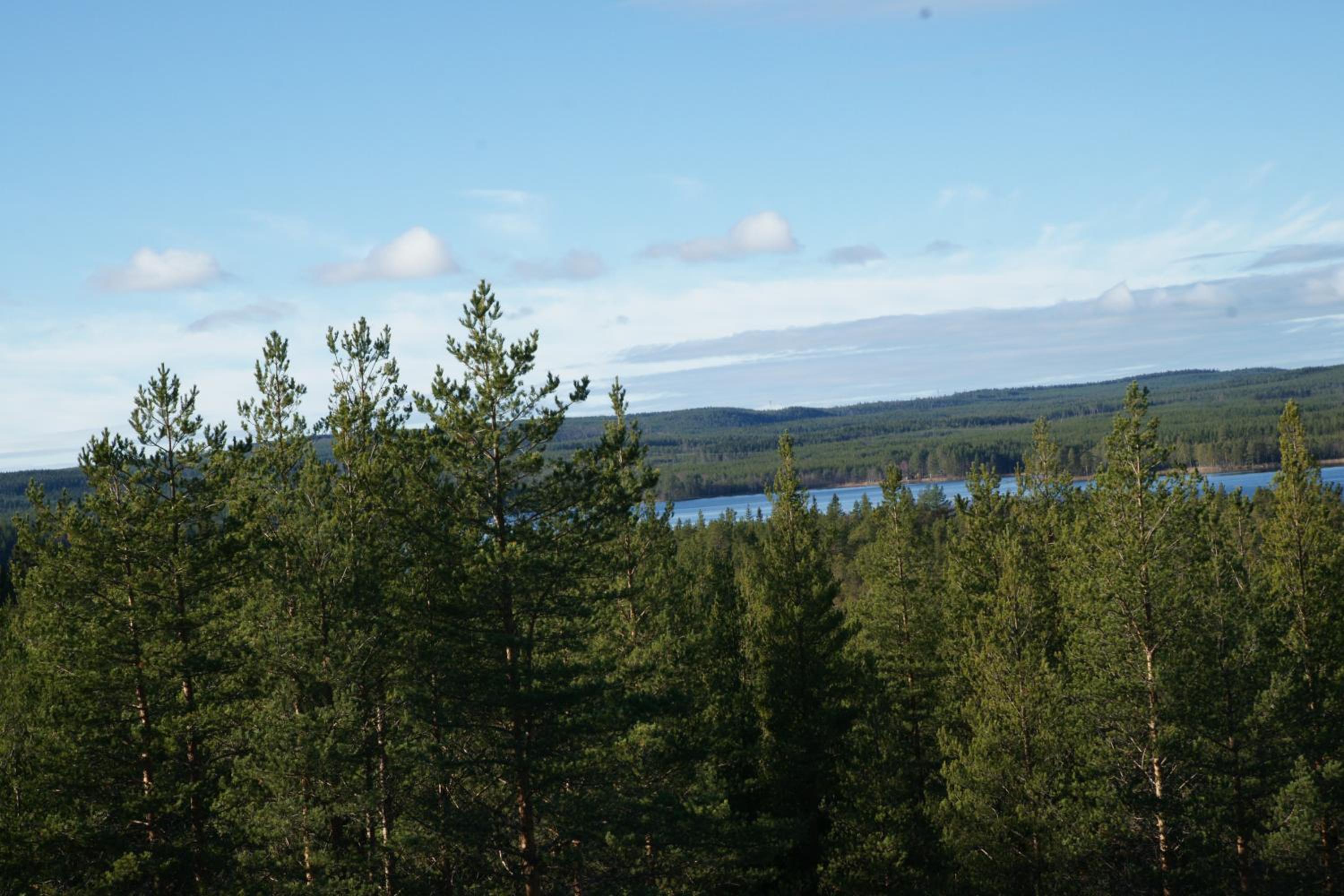 Photo 32