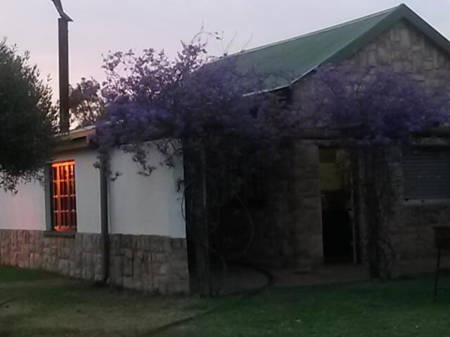 Photo 21