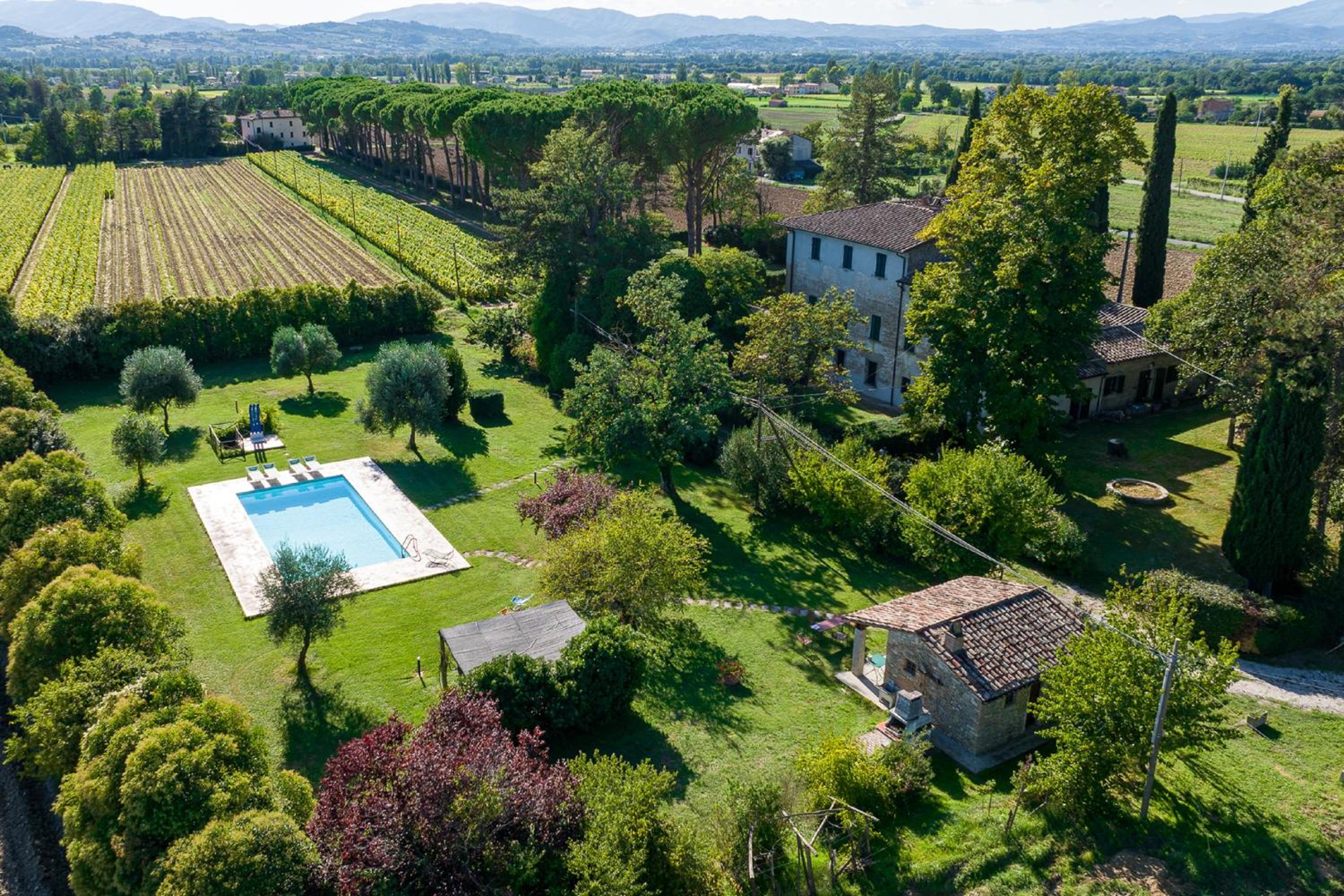 Villa Lama by Mmega