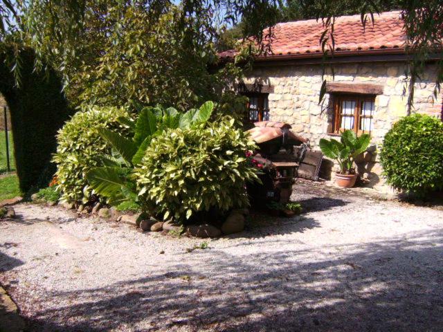Photo 31