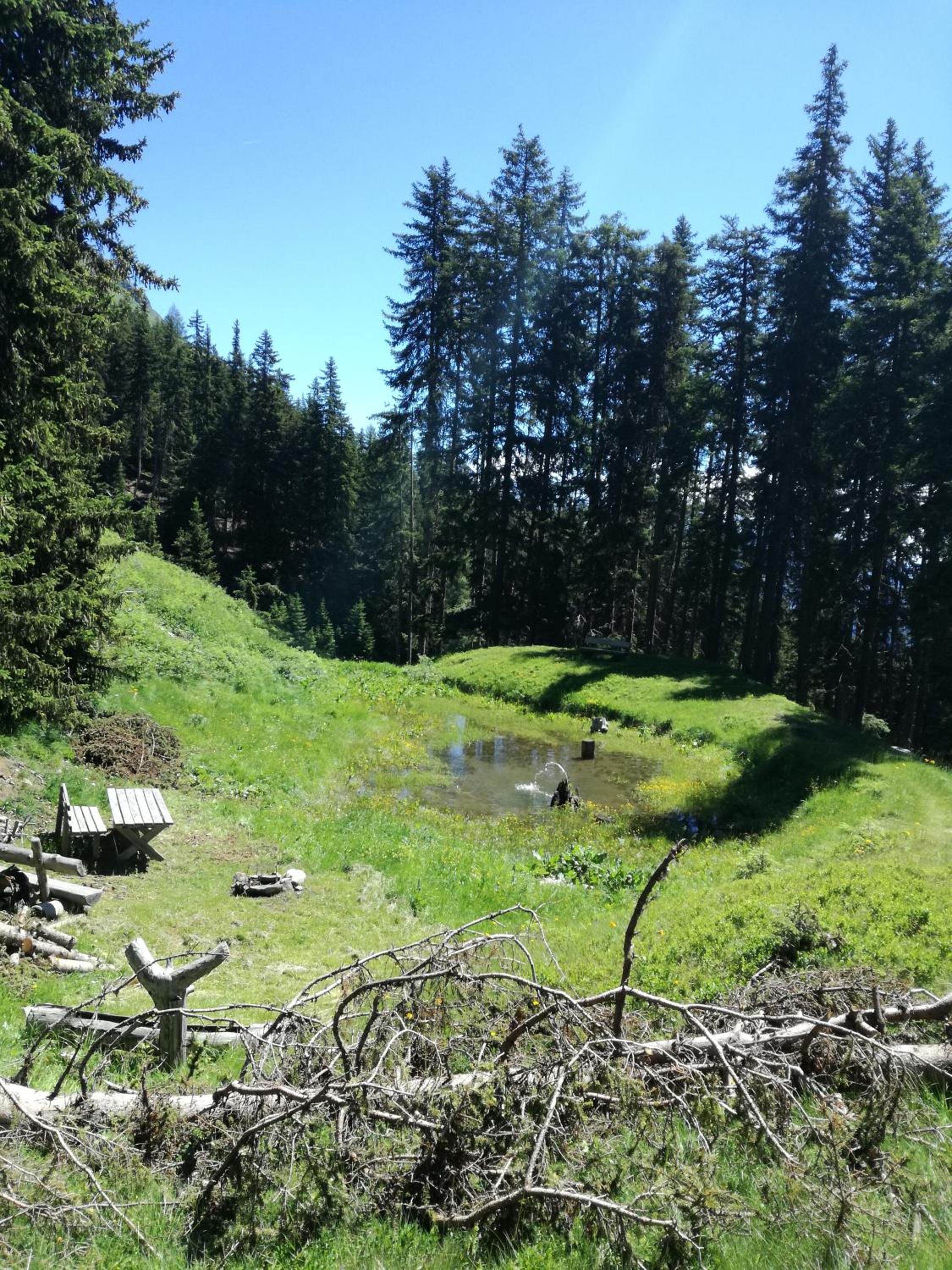 Bichlerhof