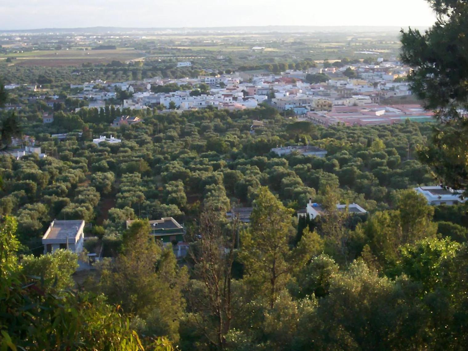 Corte De Sol view 3
