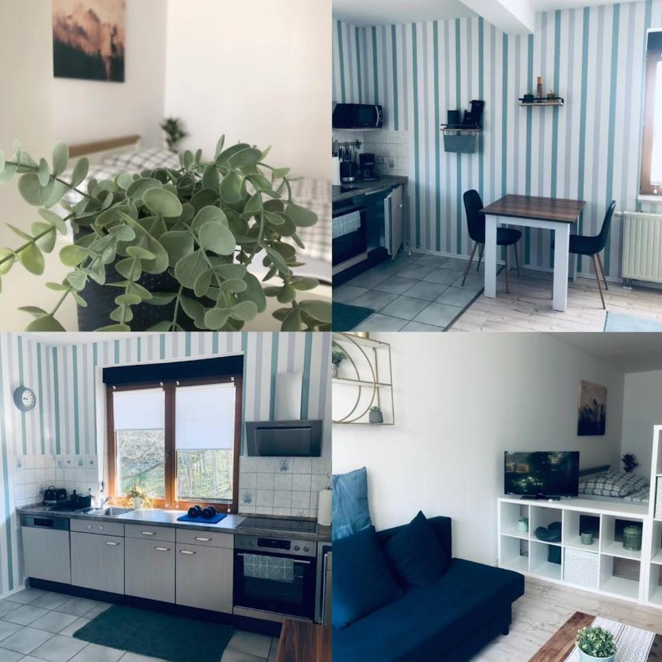Ferienwohnung Shakira