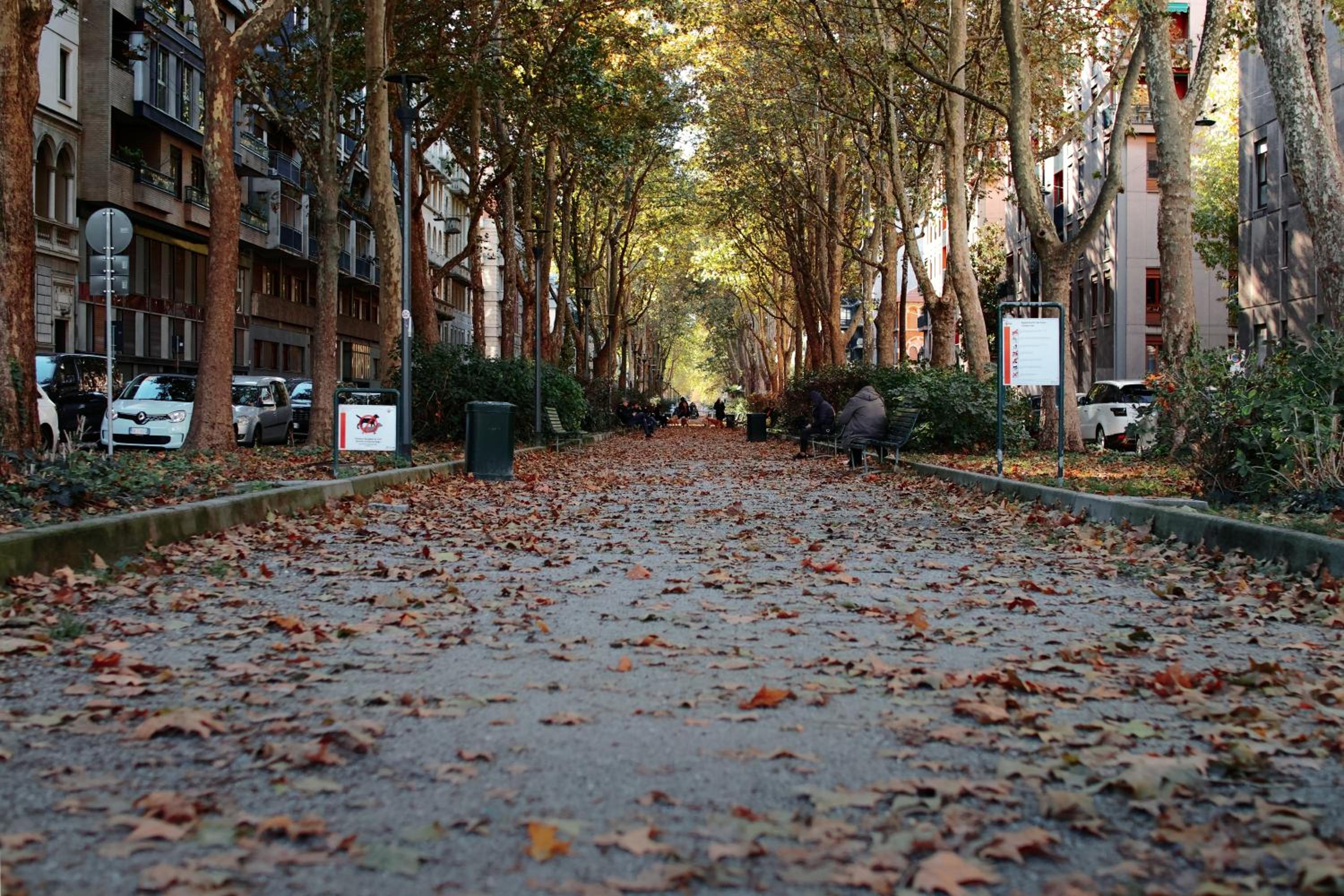 Dinamia CityLife