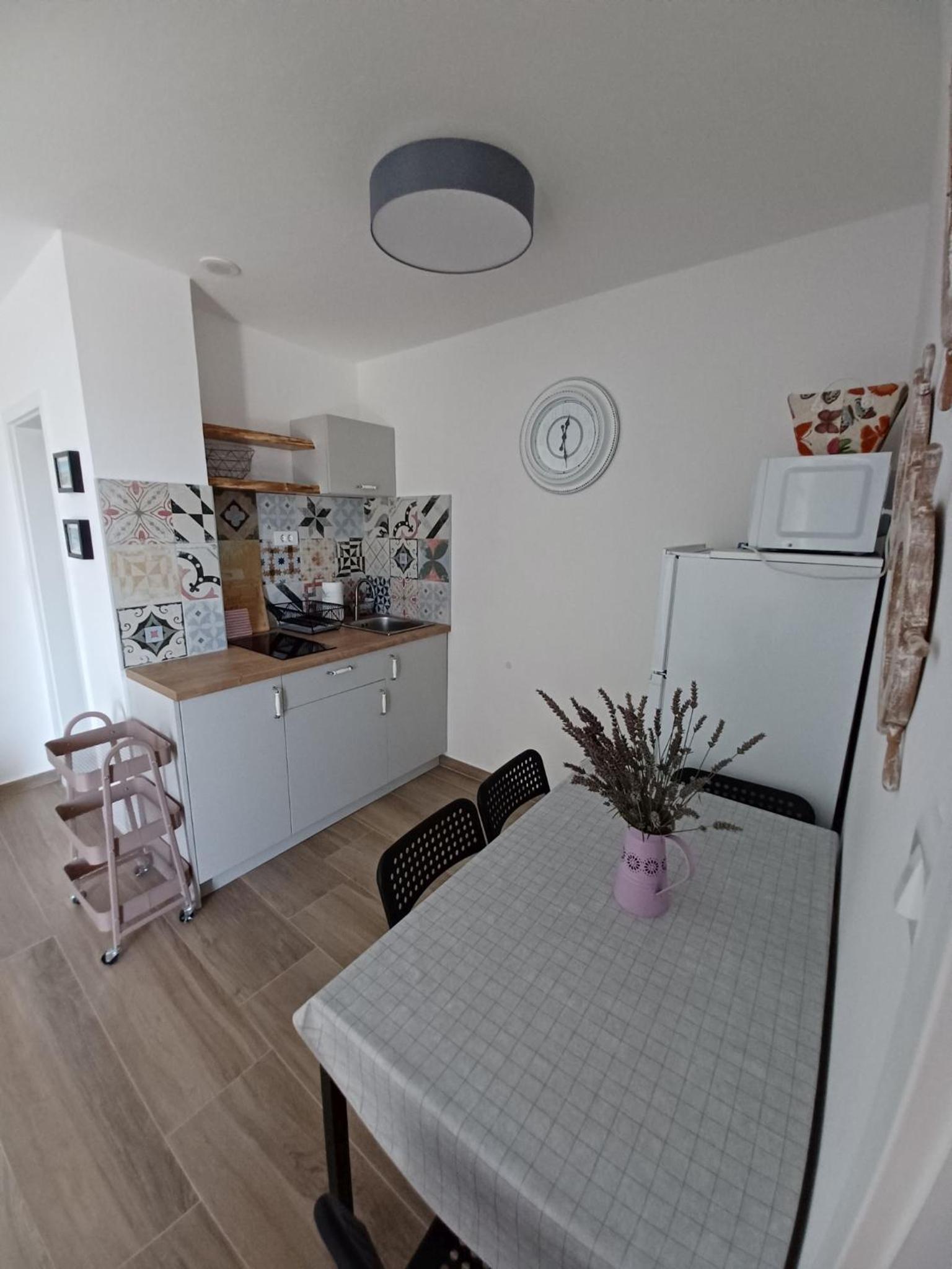 Apartments Sava view 2