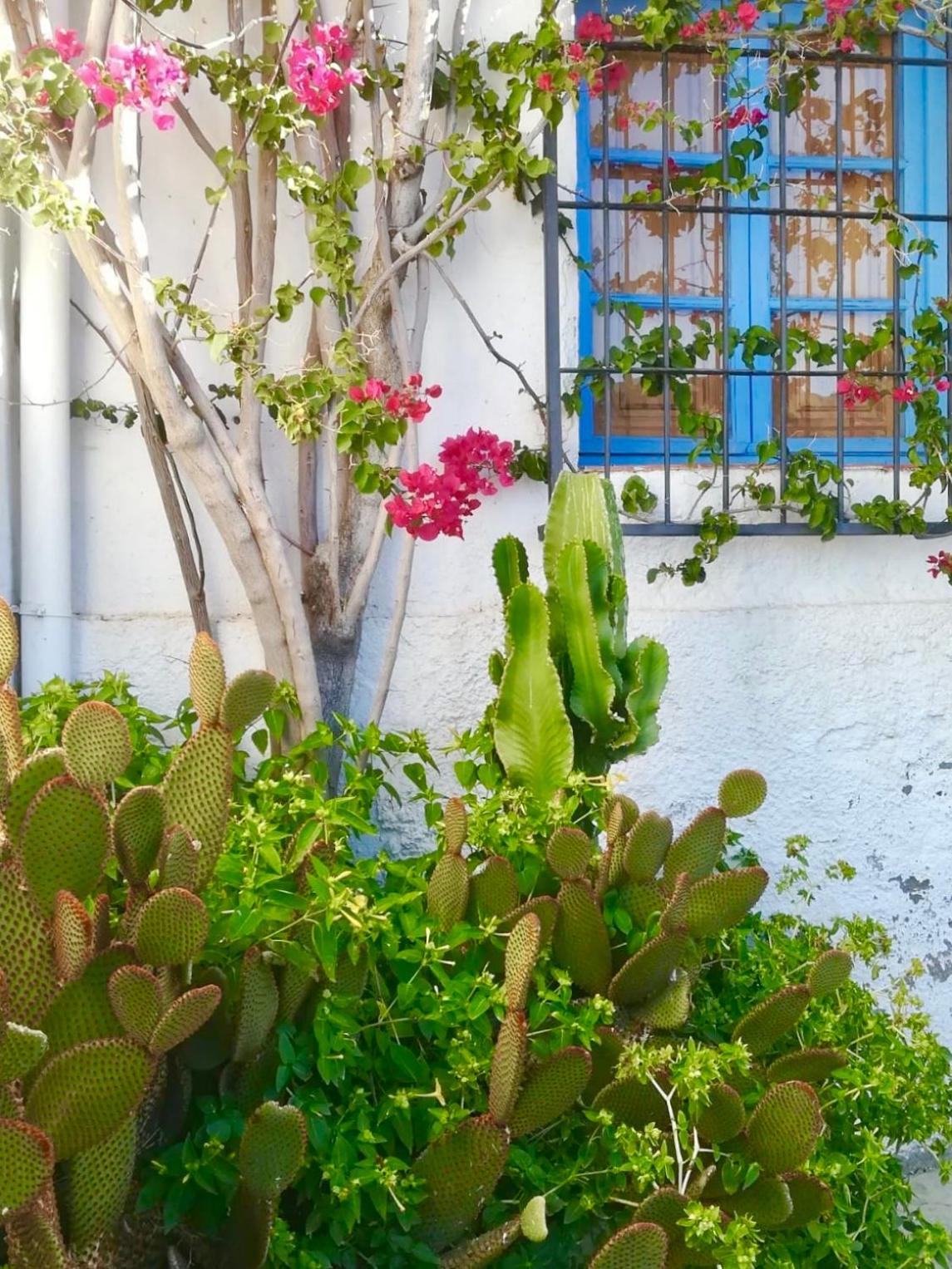 Mediterranean Sweet Home Mojacar