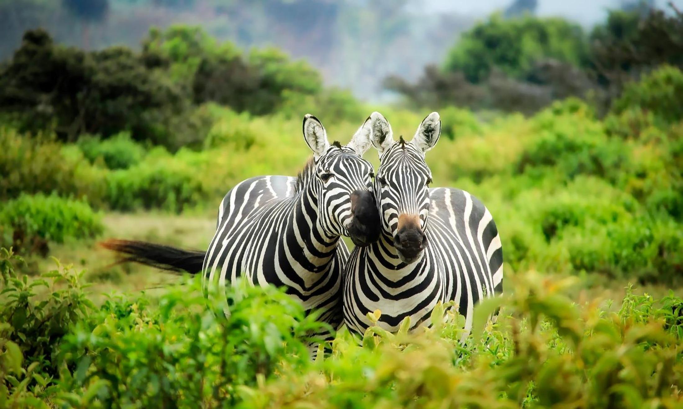 Pabala Private Nature Reserve
