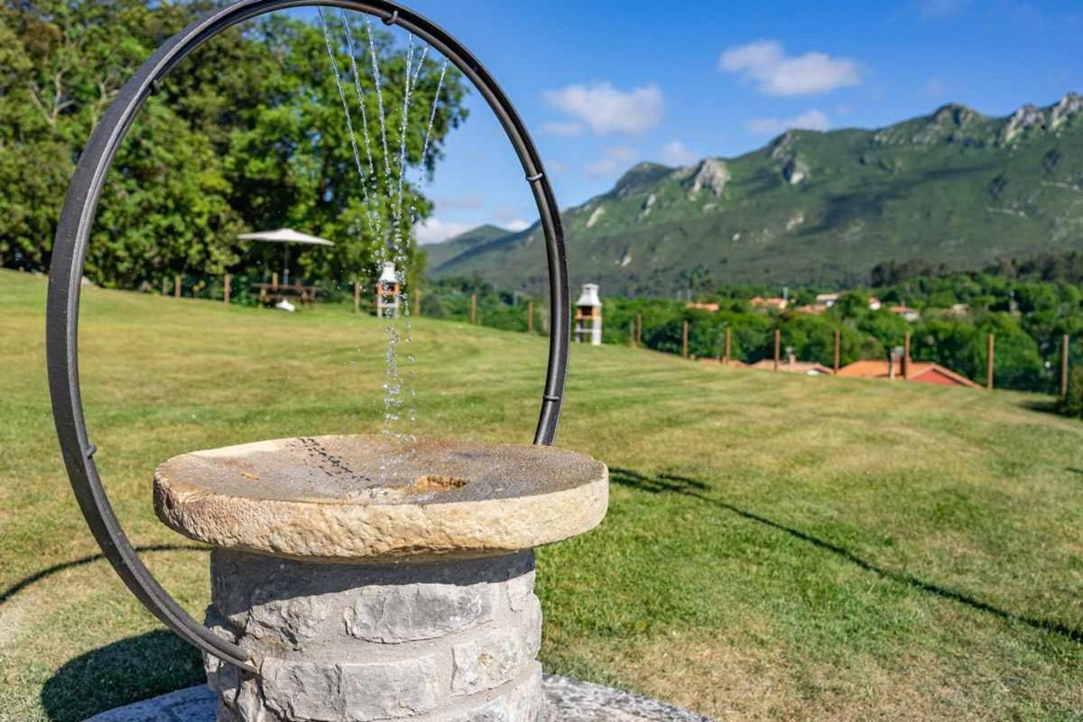 LA REXIDORA APPTO. RINOCERONTE LANUDO