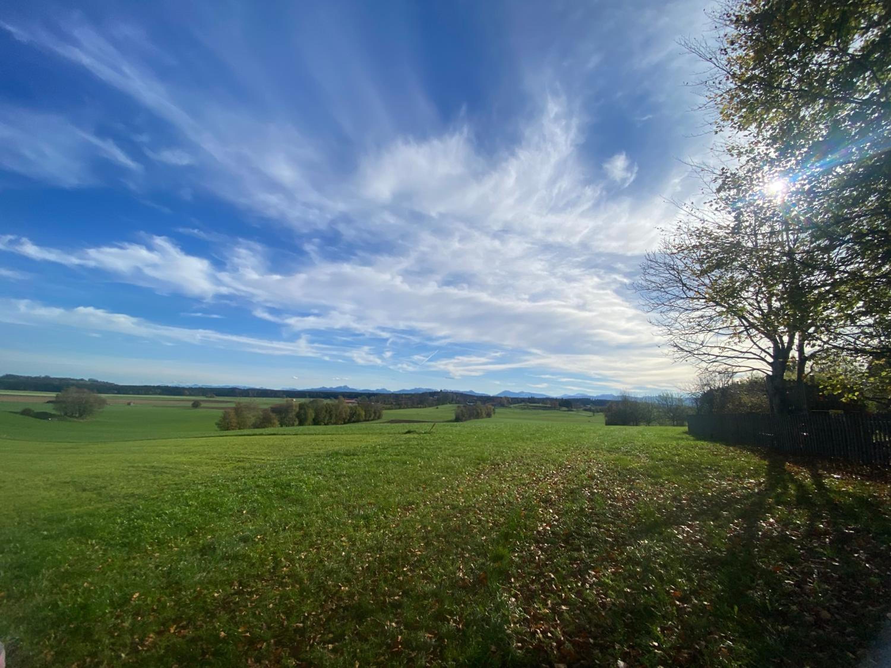 Vogelnest