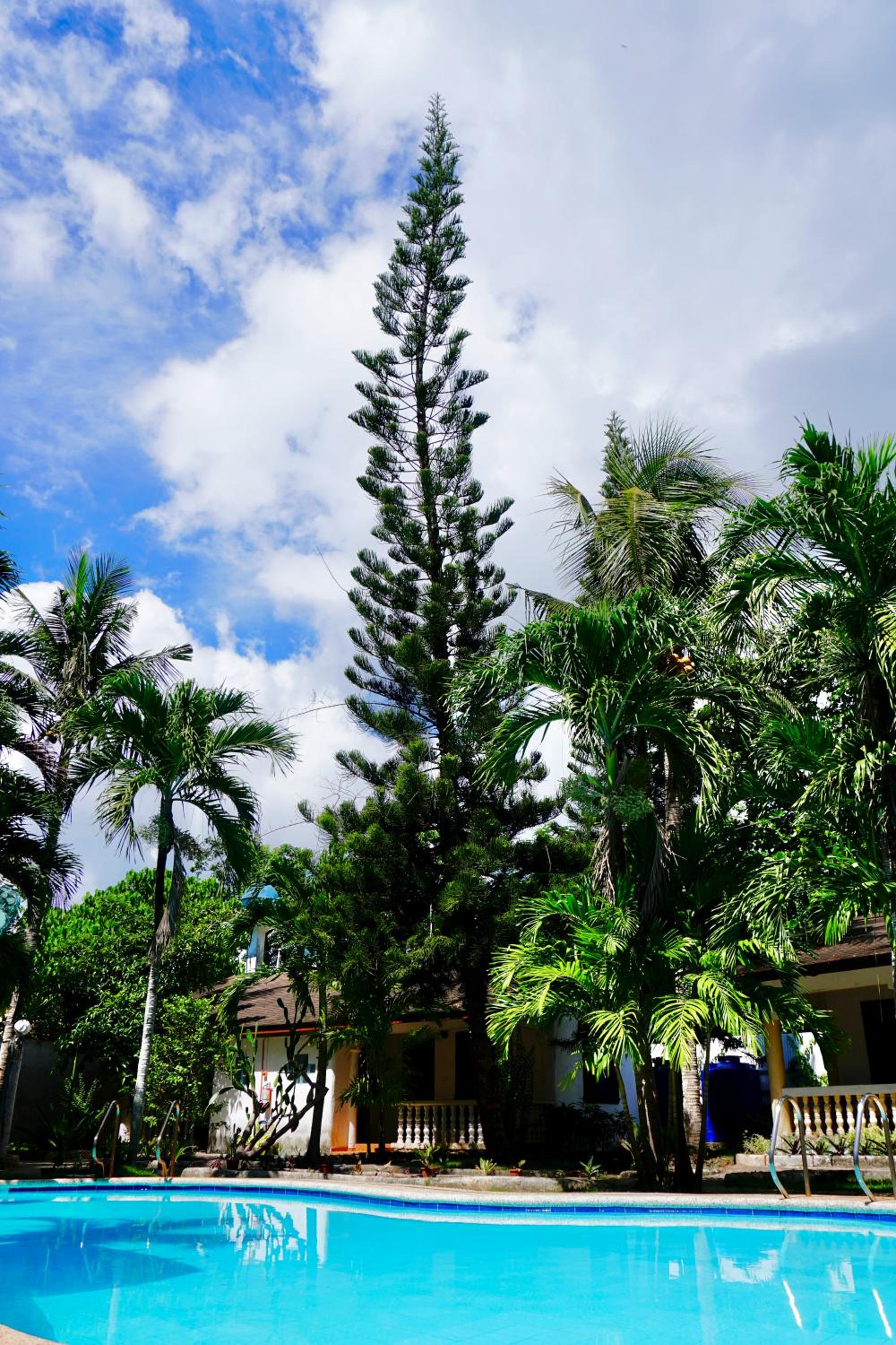Nature Haven Villa - Flower Garden
