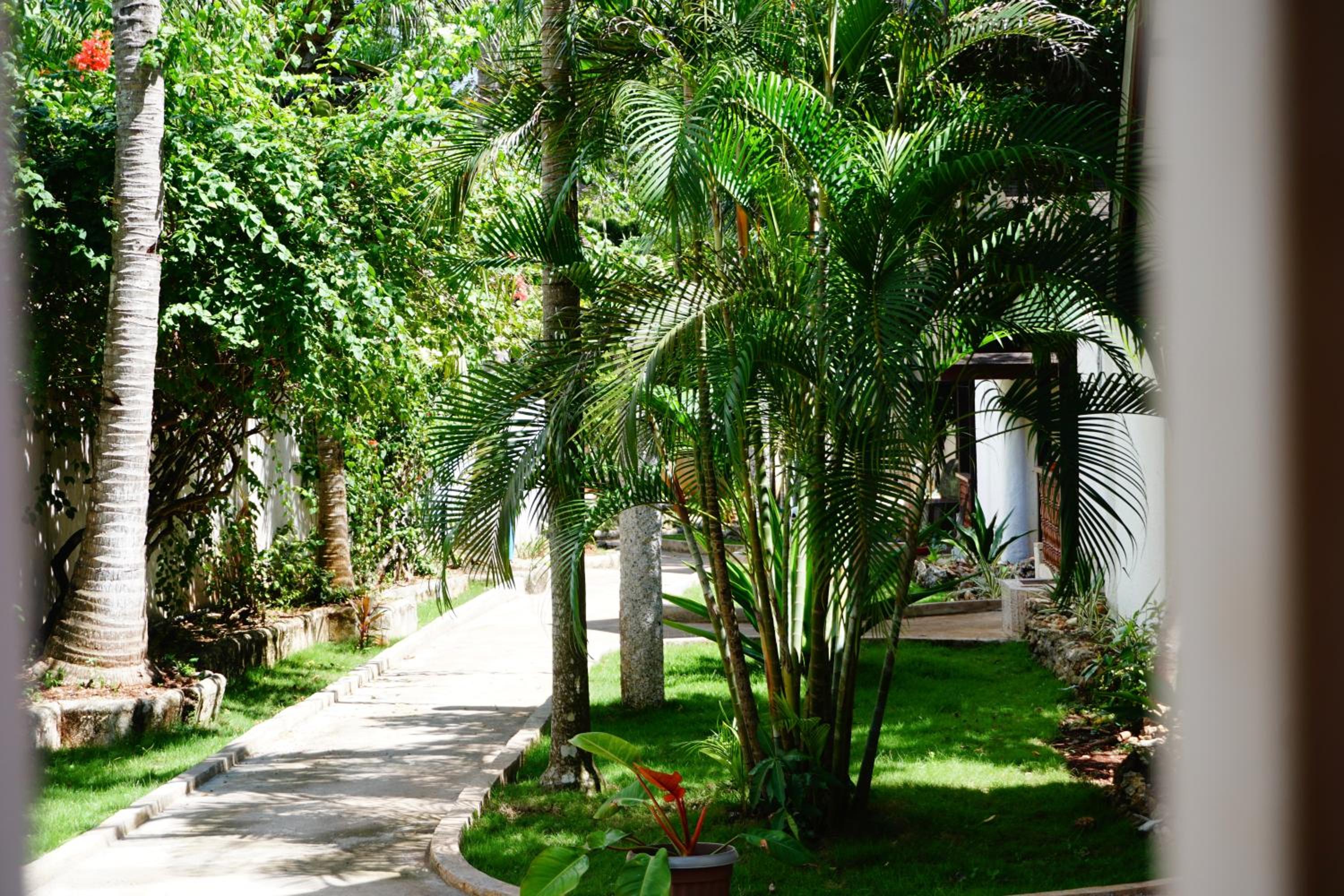 Nature Haven Villa - Flower Garden