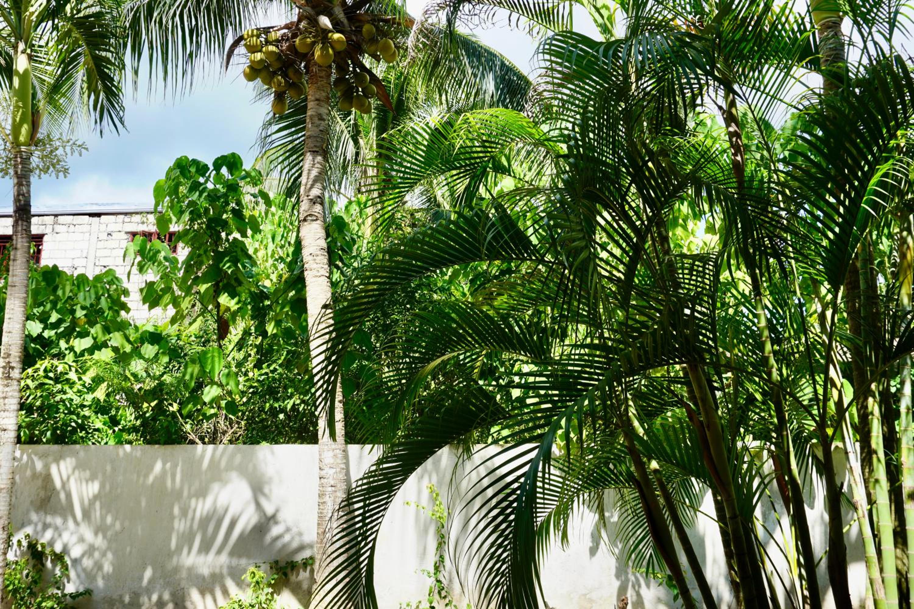 Nature Haven Villa - Flower Garden