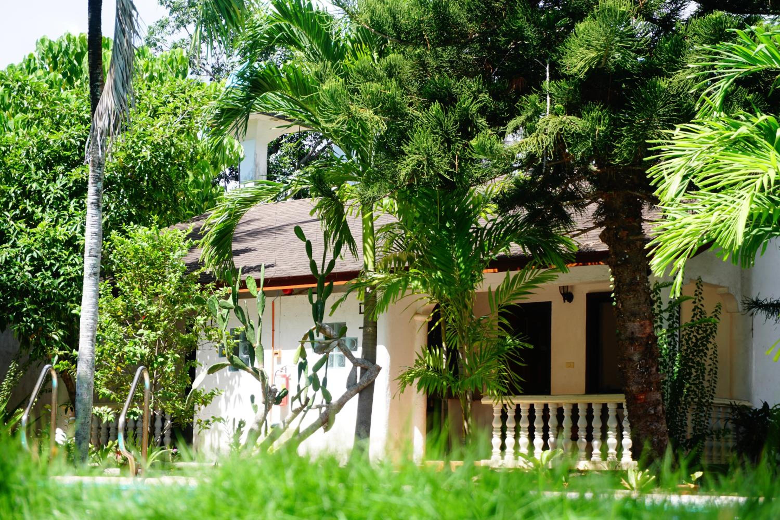 Nature Haven Villa - Flower Garden